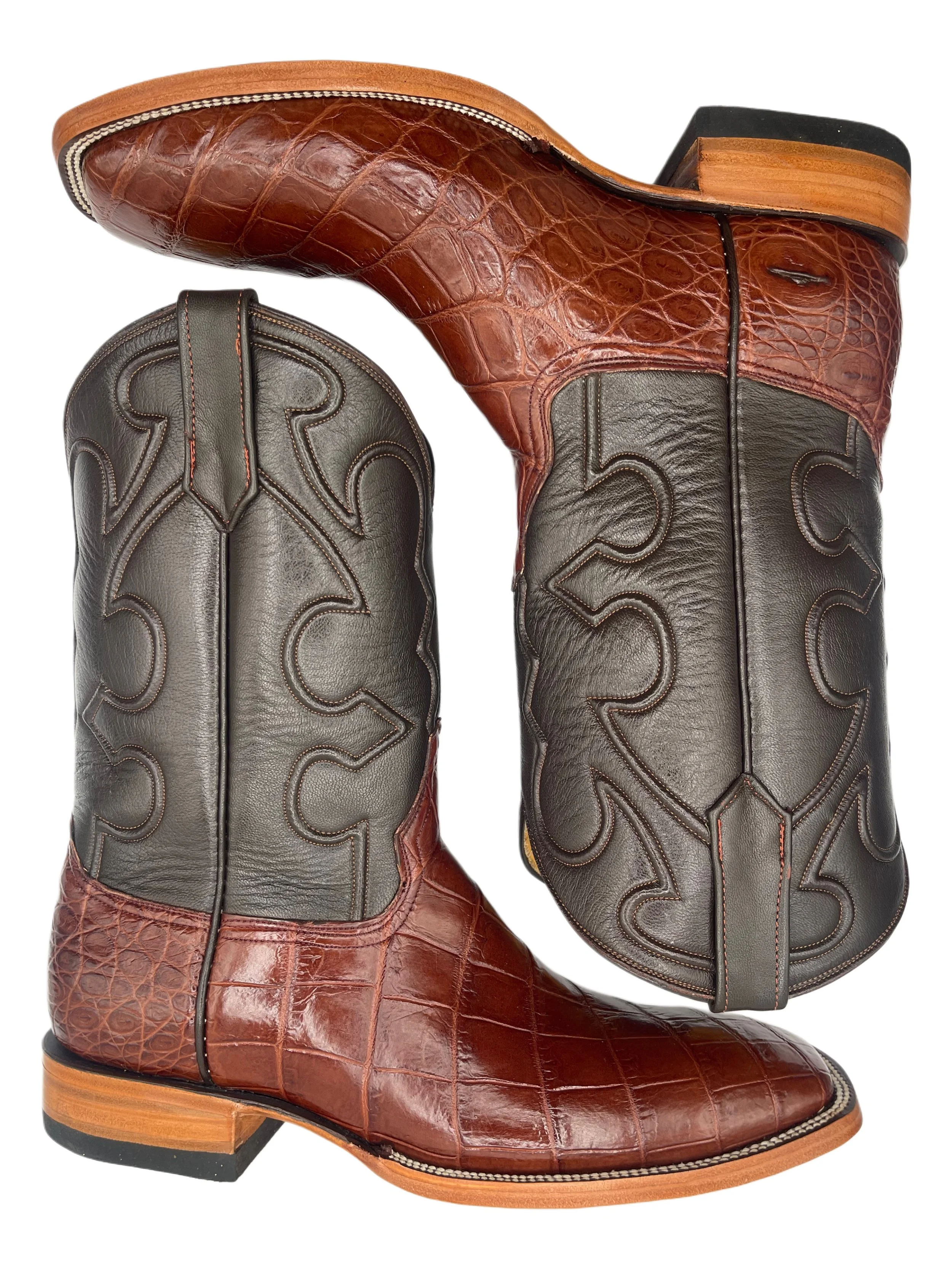 Caiman Crocodile Chocolate Cigar Belly