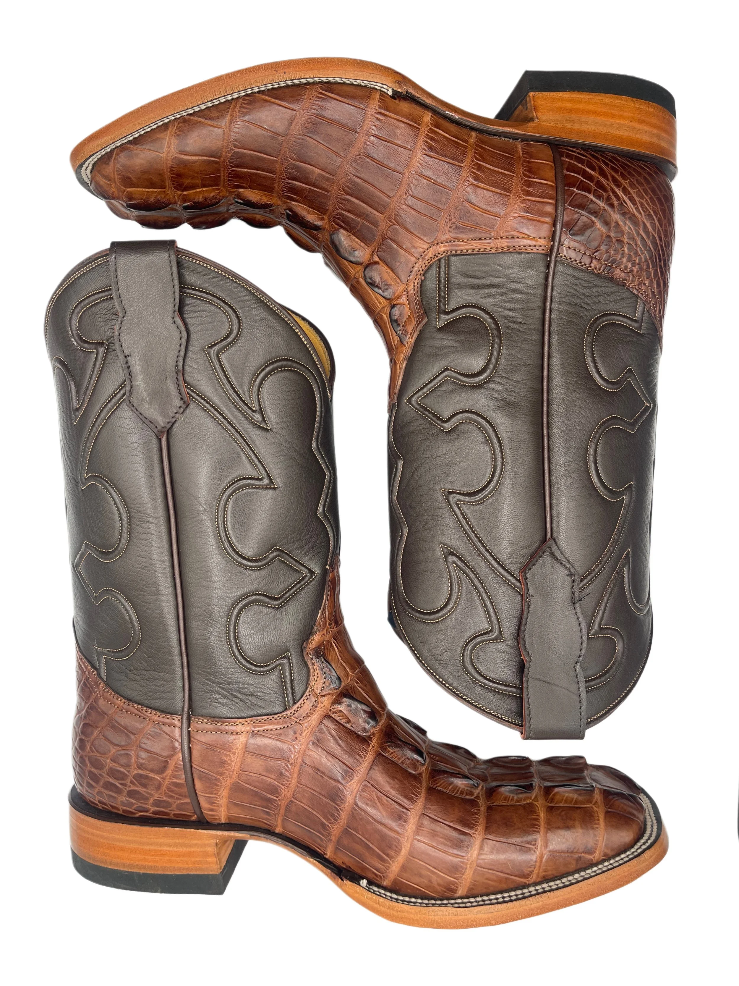 American Alligator Chocolate Tail