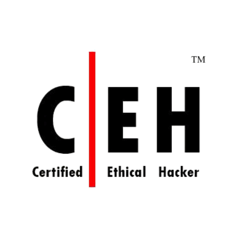 wolf-point-security-cybersecurity-services-chicago-certified-ethical-hacker.png