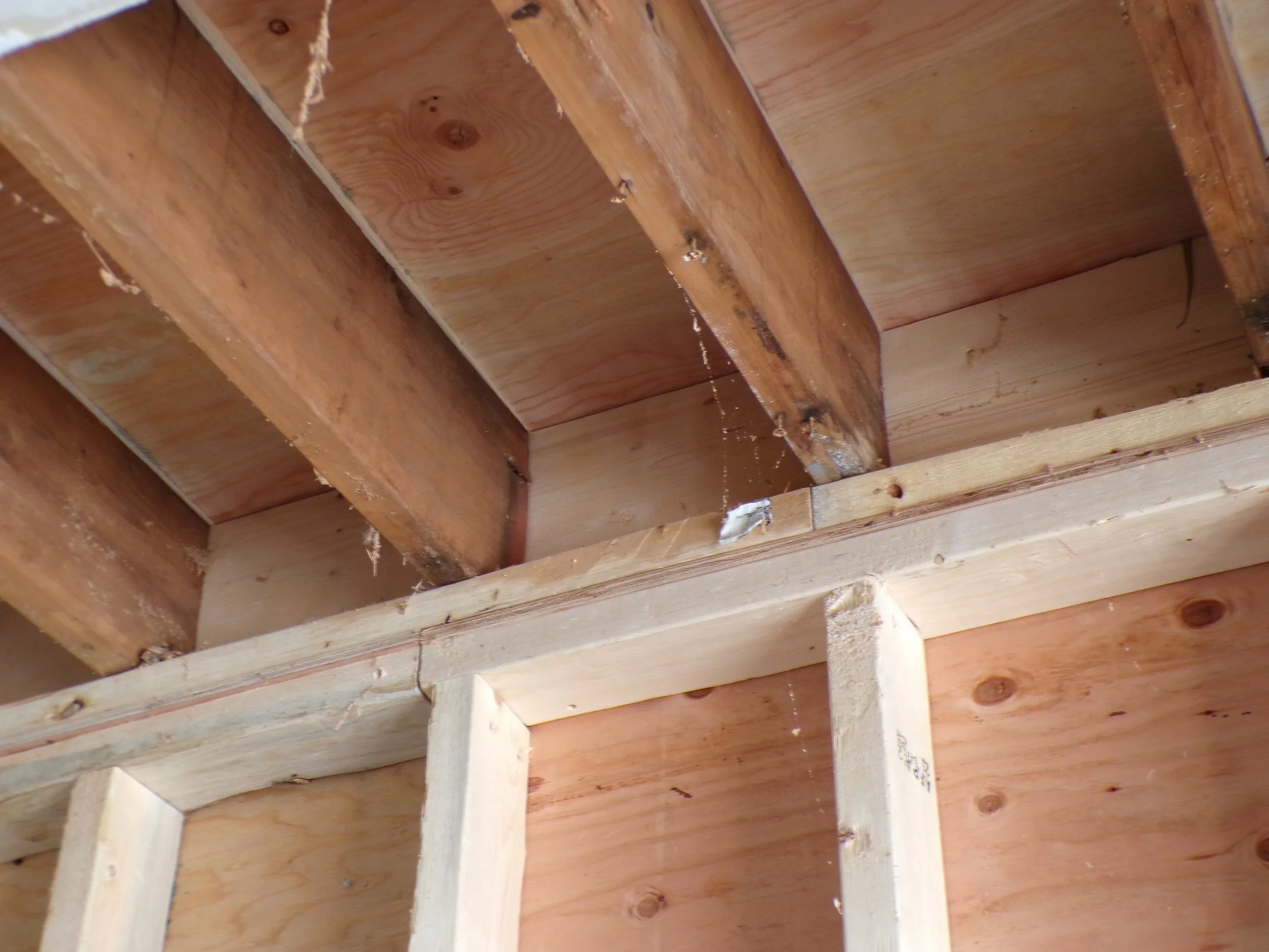 Re-constructed wood framing