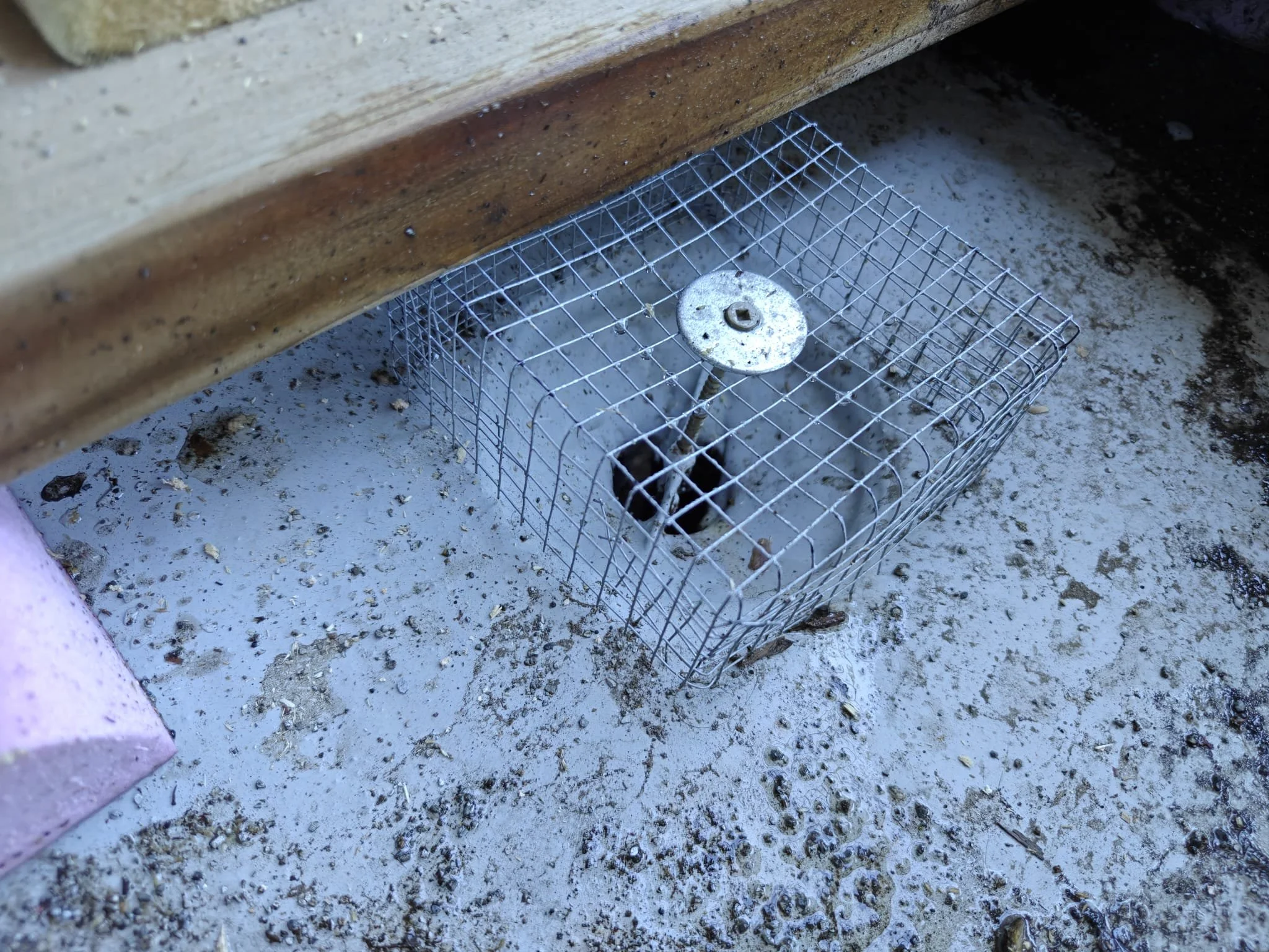 New custom debris guards to reduce maintenance