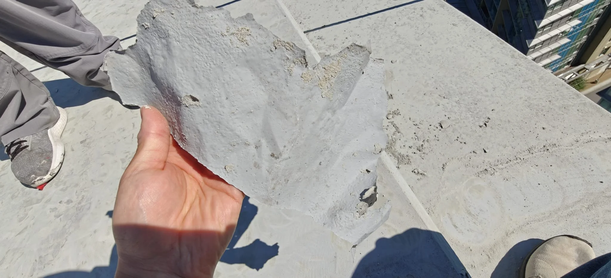 The original membrane