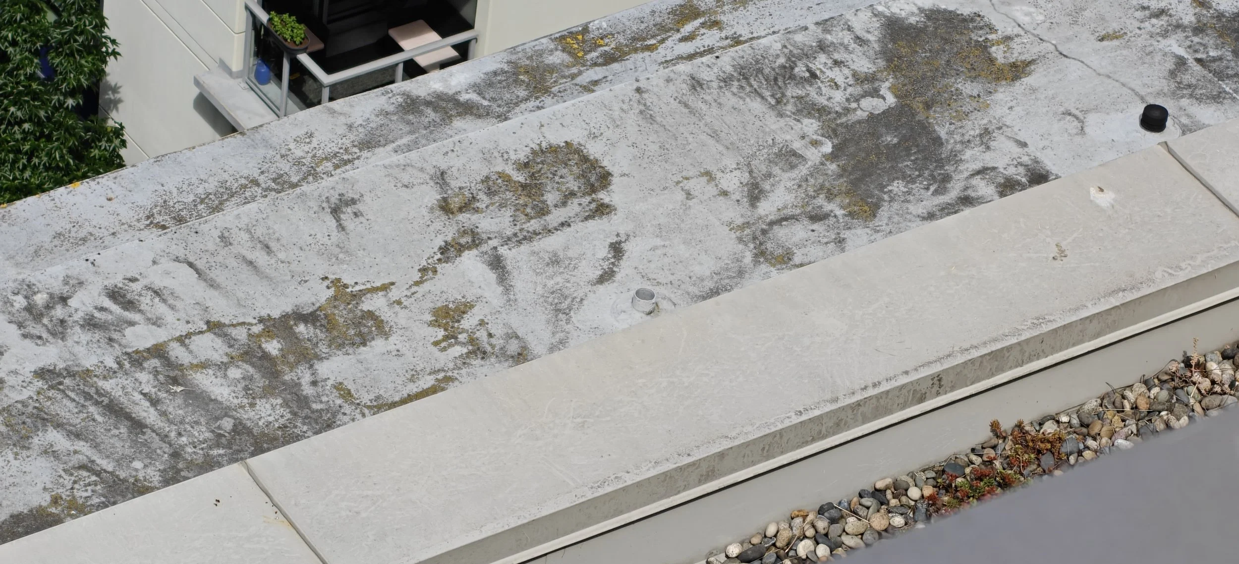 The original membrane