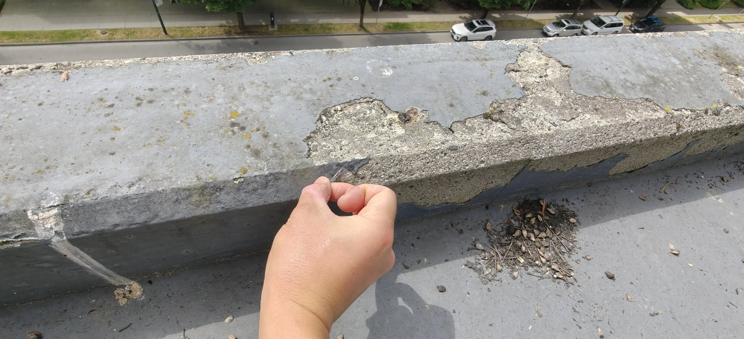 The original membrane