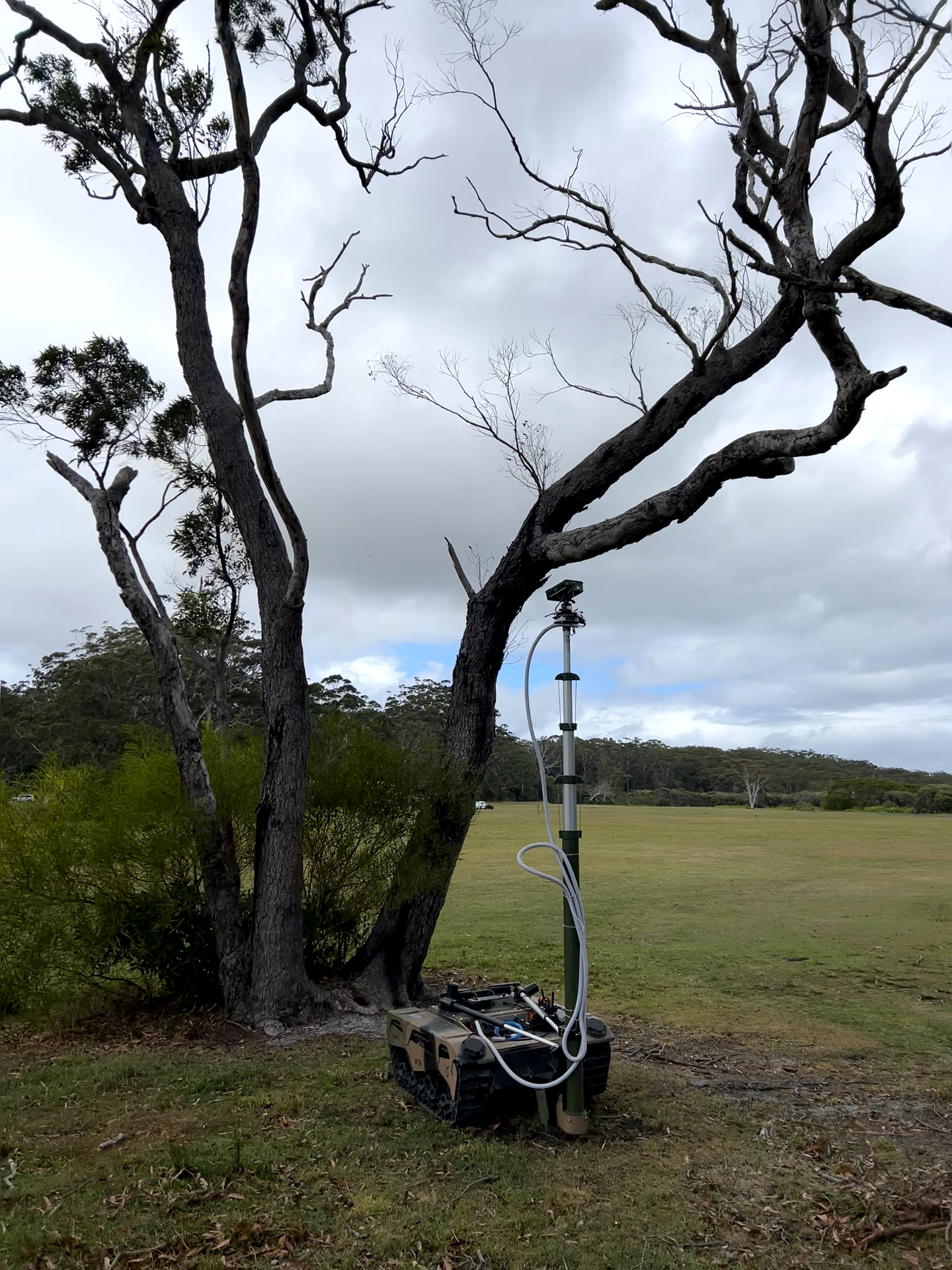 A large tree with mostly bare branches stands in a grassy field under a cloudy sky. A robot or drone with various equipment is positioned next to the tree, connected with cables, with a background of open land and distant trees.