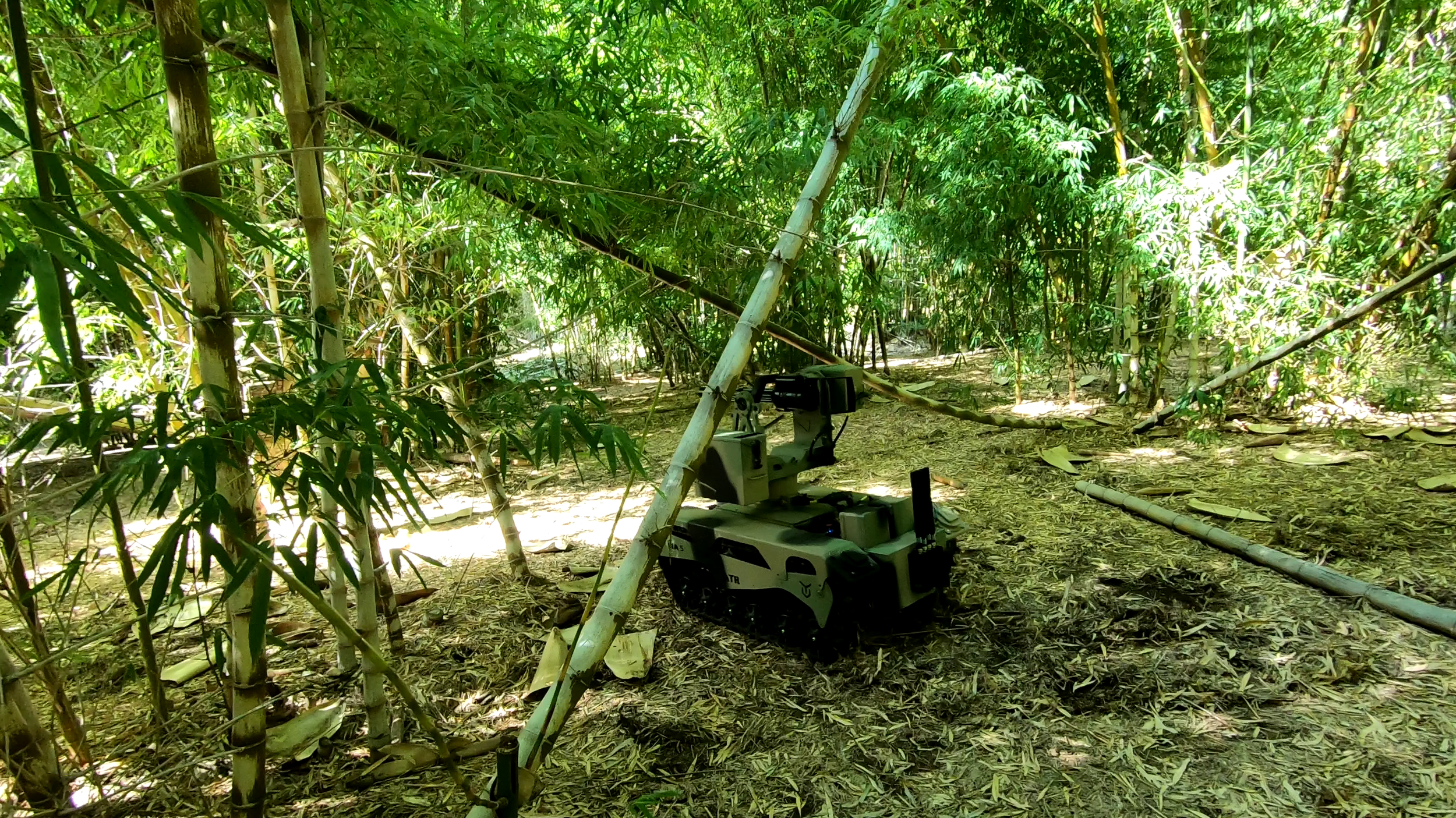 A small robotic vehicle with tracks in a dense bamboo forest, surrounded by tall green bamboo stalks and underbrush, with sunlight filtering through the leaves.