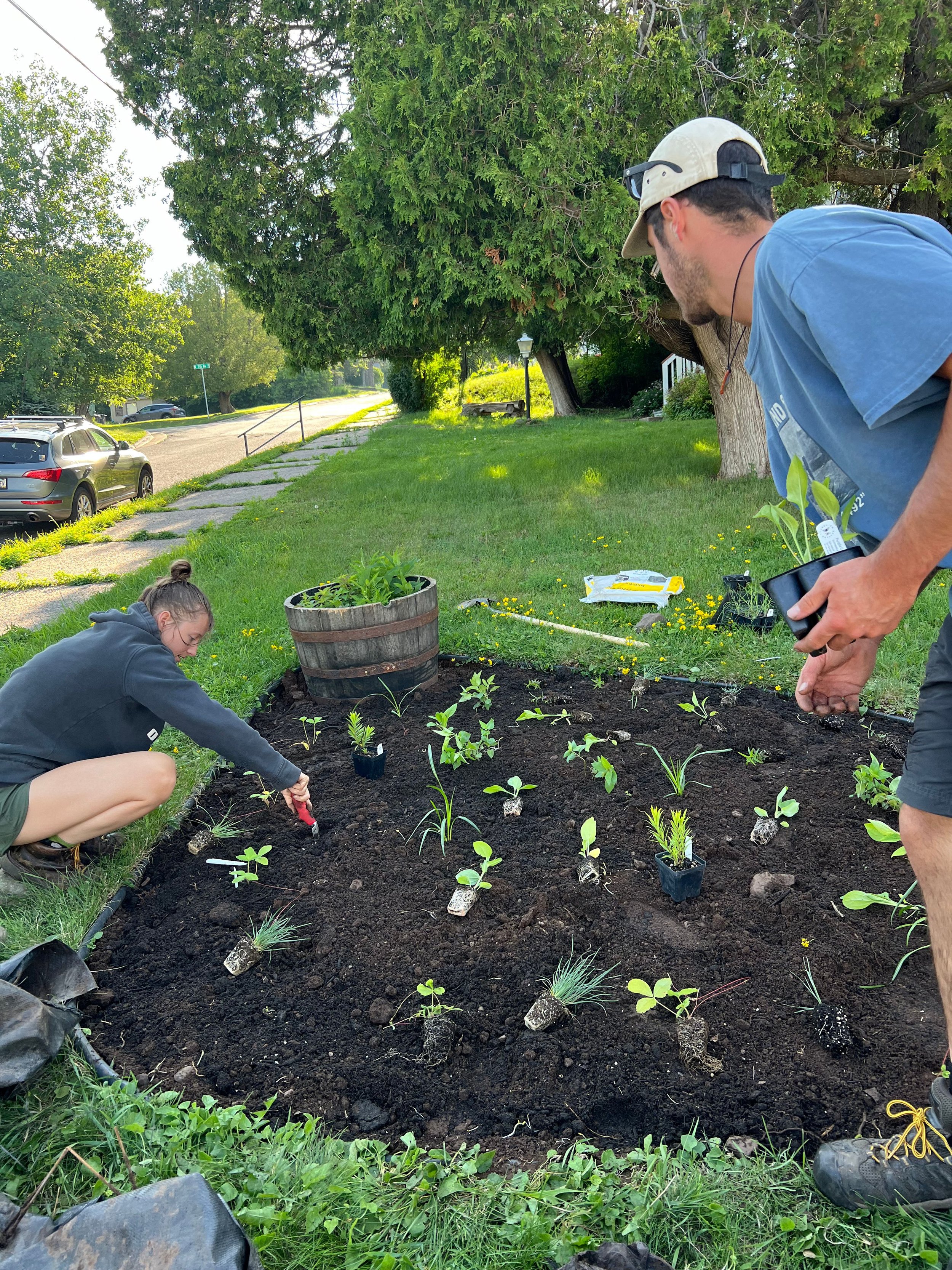 Two people planting young plants and vegetables in a garden bed outdoors on a sunny day.