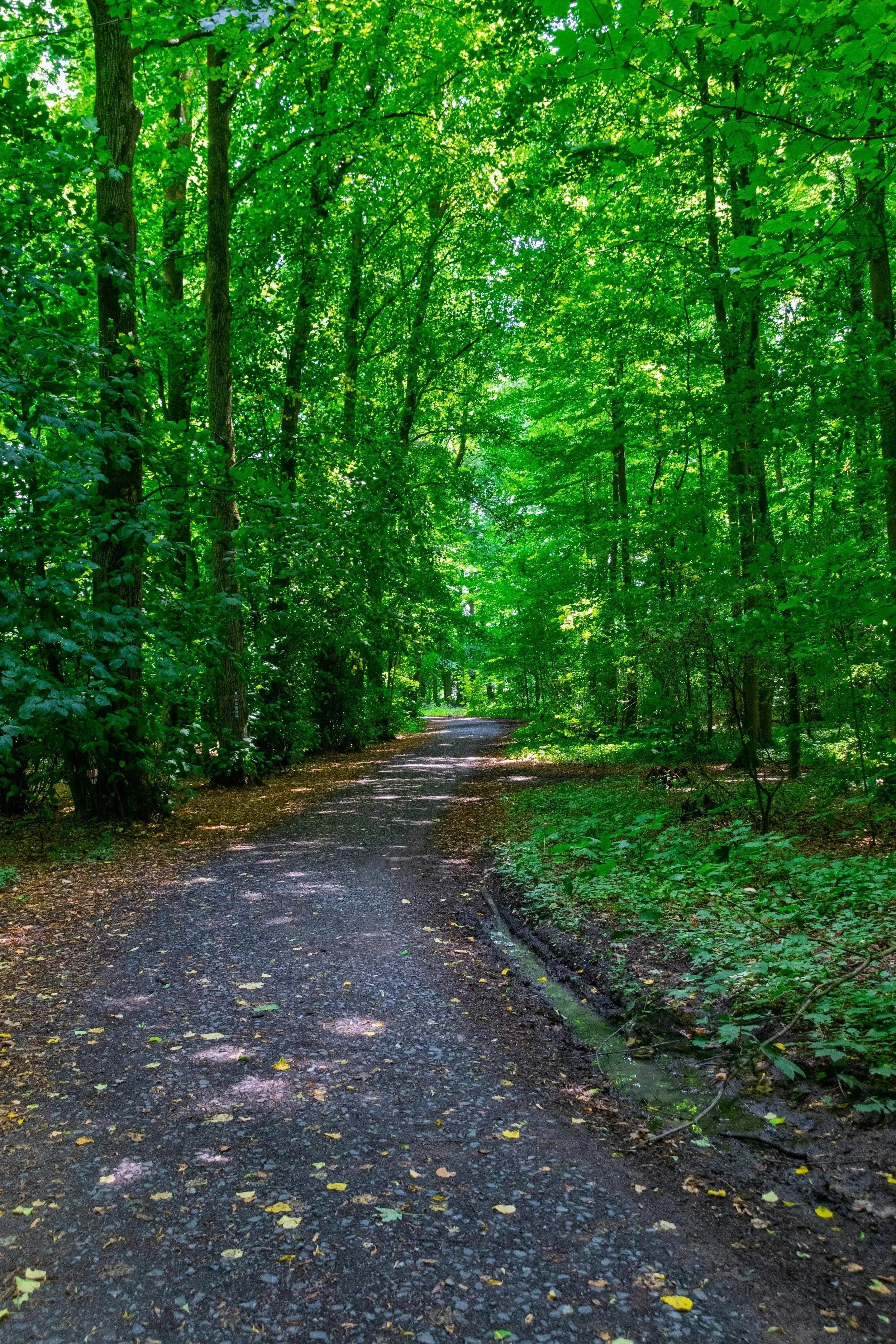 A Glimpse of the Future