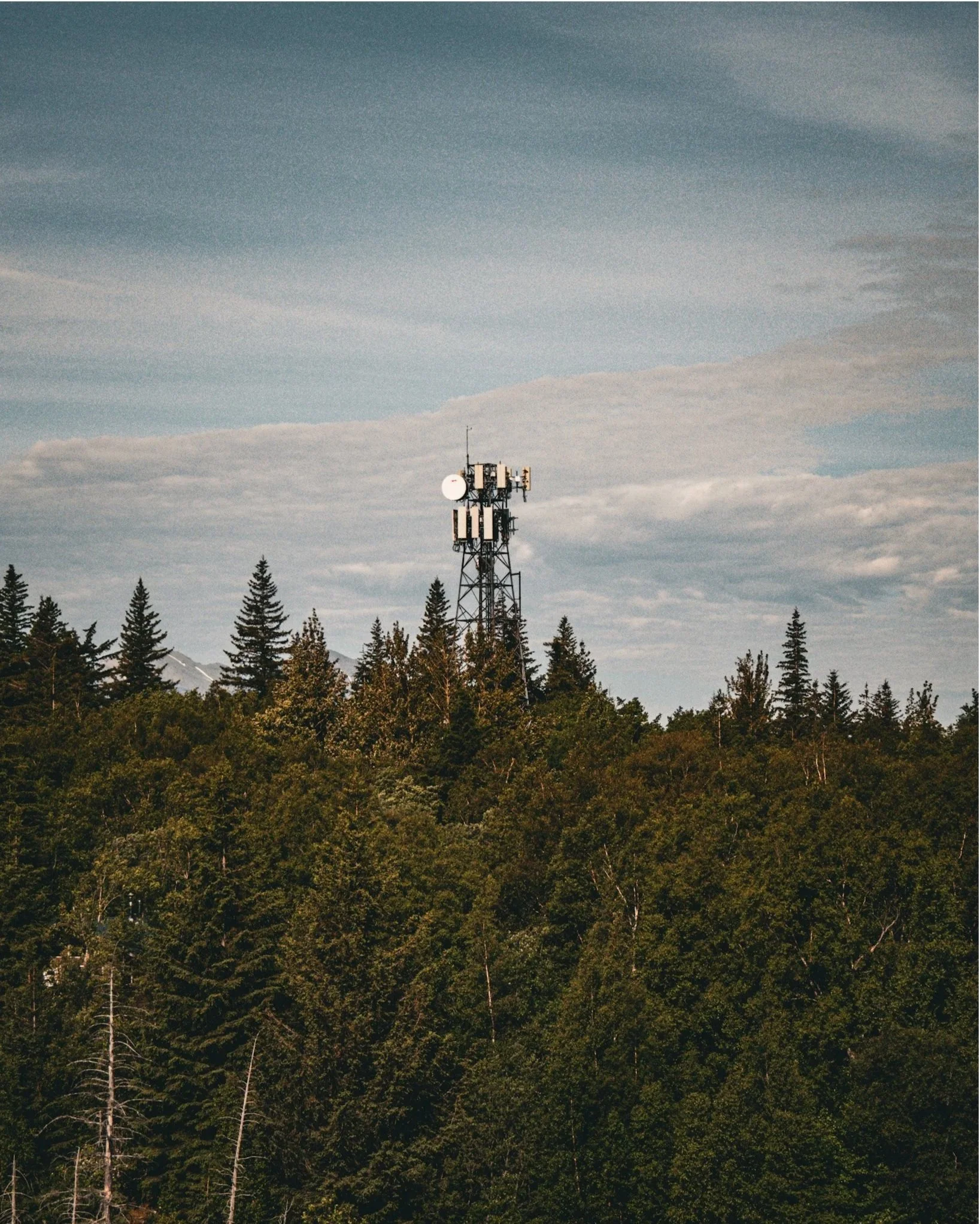 2026-06-19+08.55.46.jpg