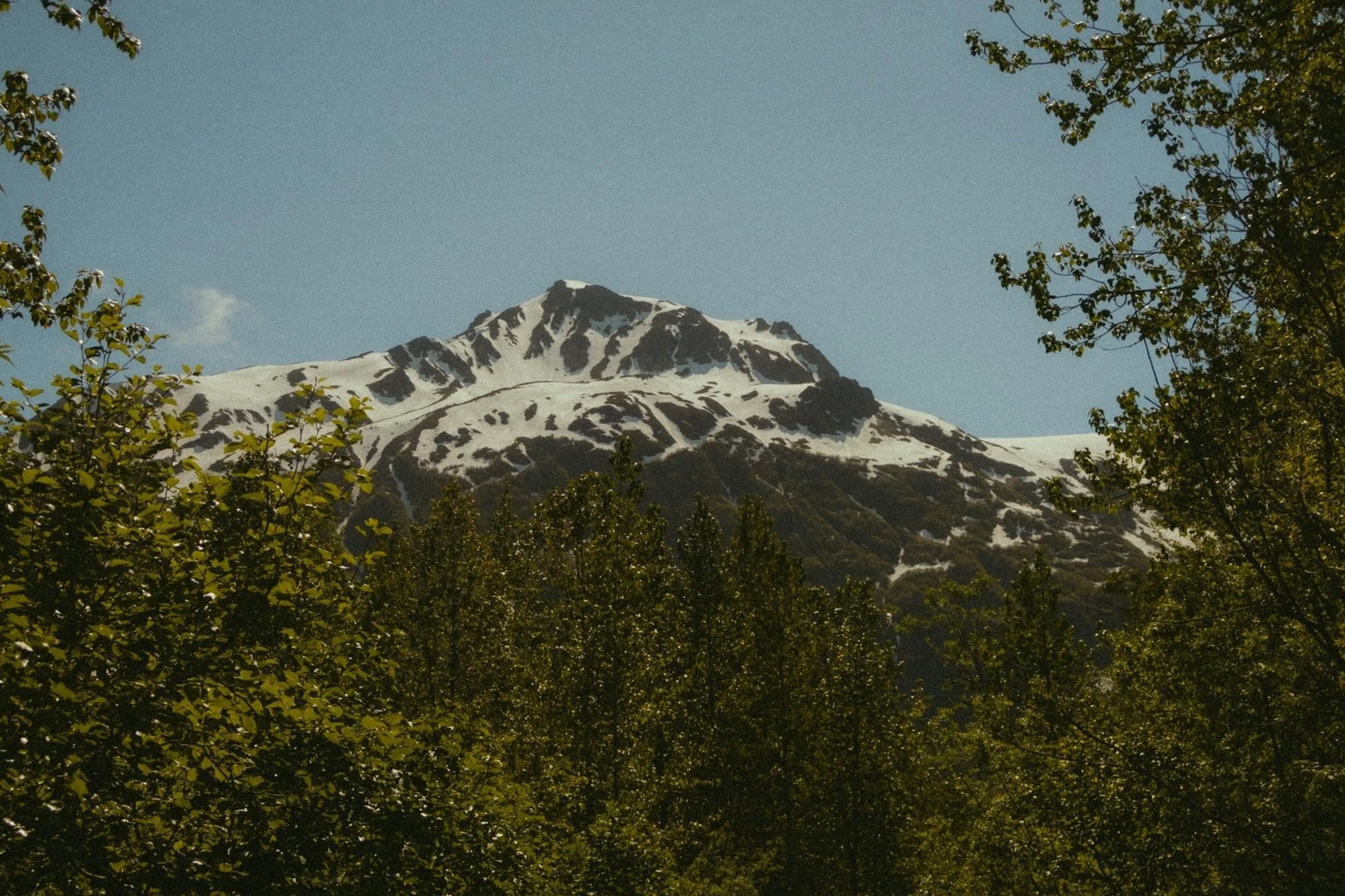 2026-06-20+14.12.03.jpg