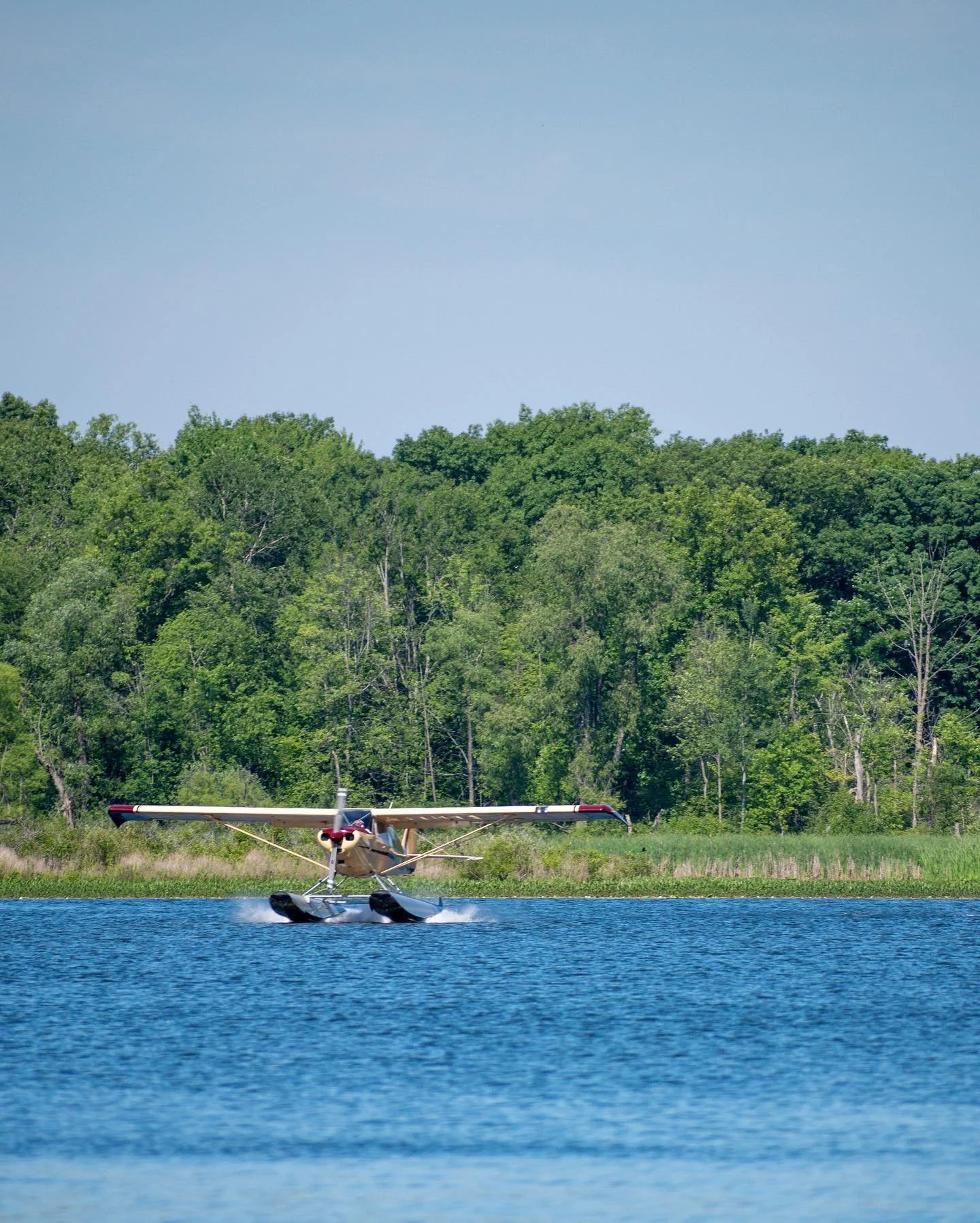 Single-engine seaplane floating on a lake with forest shoreline