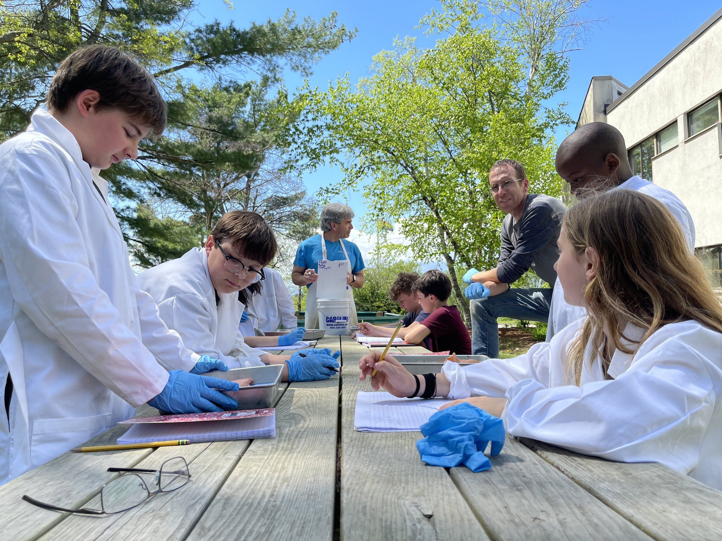 A group of students and teachers in lab coats and gloves working on a science experiment outdoors at a picnic table, with trees and a building in the background on a sunny day.
