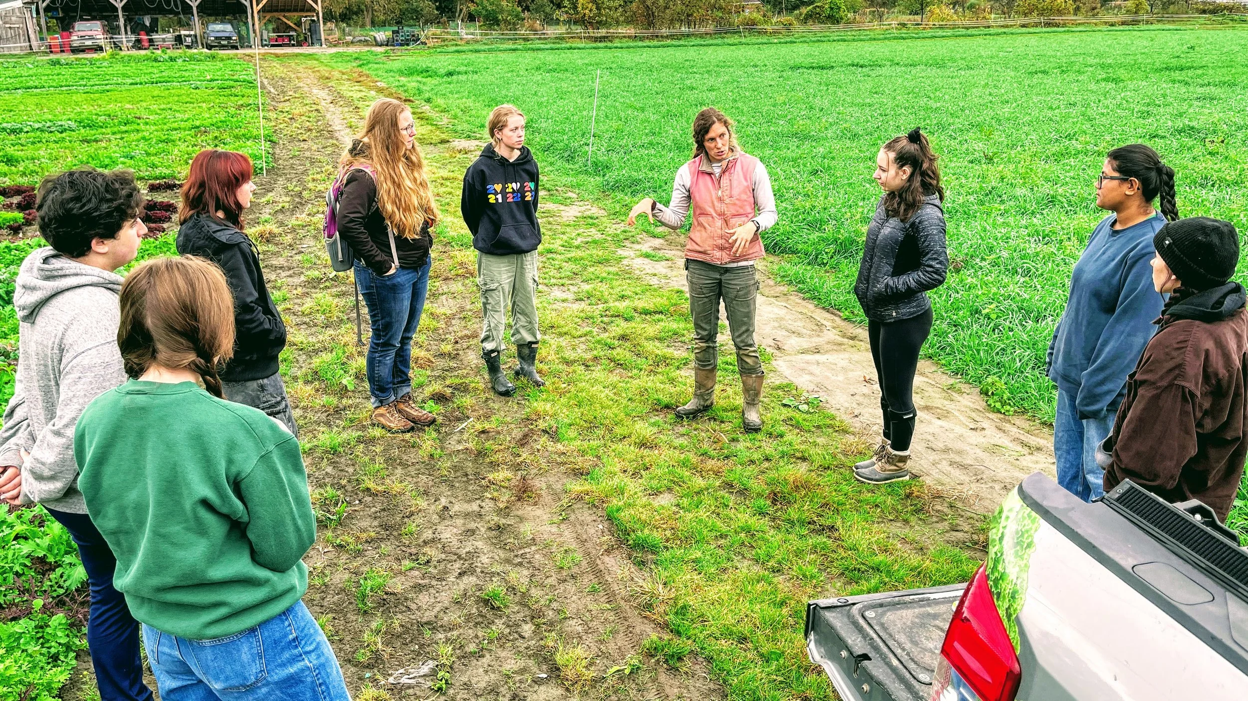 A group of people standing in a semi-circle on a farm field, listening to a woman talk, with green crops and a parking area in the background.