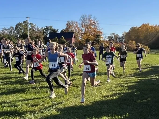 Young girls participating in a cross-country race outdoors on a sunny day, wearing race bibs and running across a grassy field with trees and houses in the background.