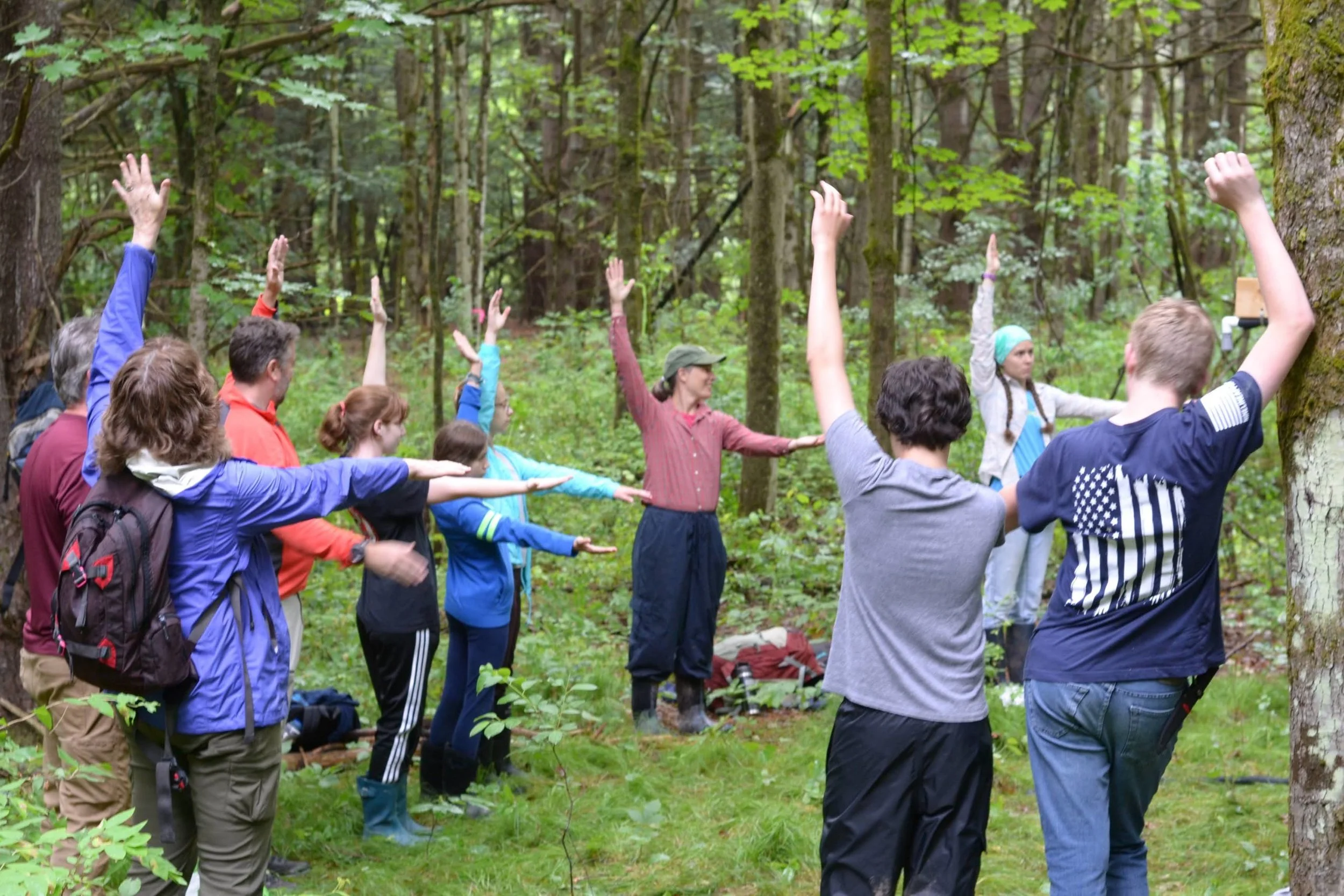Group of people in a forest participating in an outdoor yoga class, standing with arms extended and practicing yoga poses.
