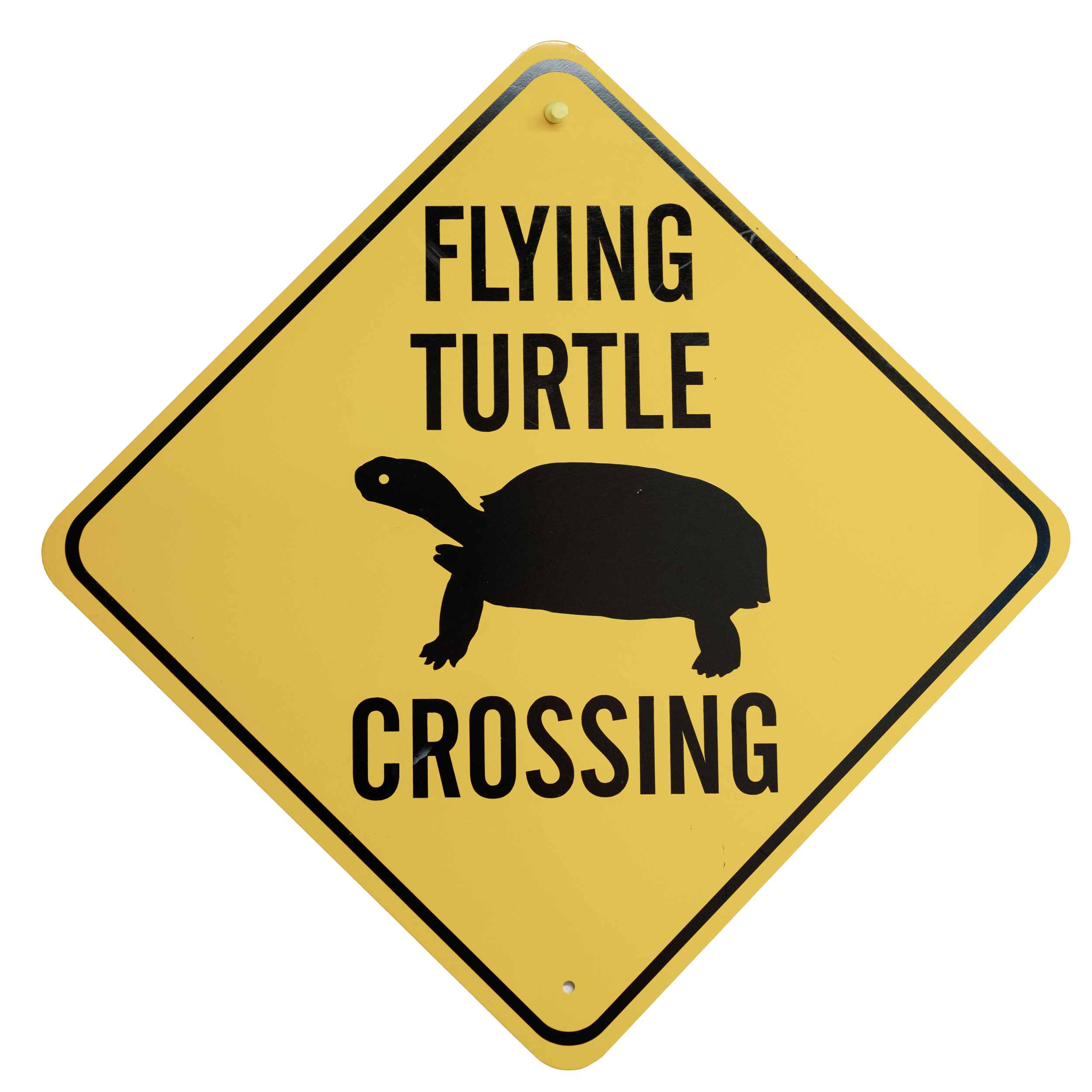 Yellow diamond-shaped warning sign with a black silhouette of a turtle and the text 'Flying Turtle Crossing'.