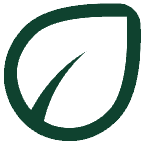 A simple, stylized green leaf outline.