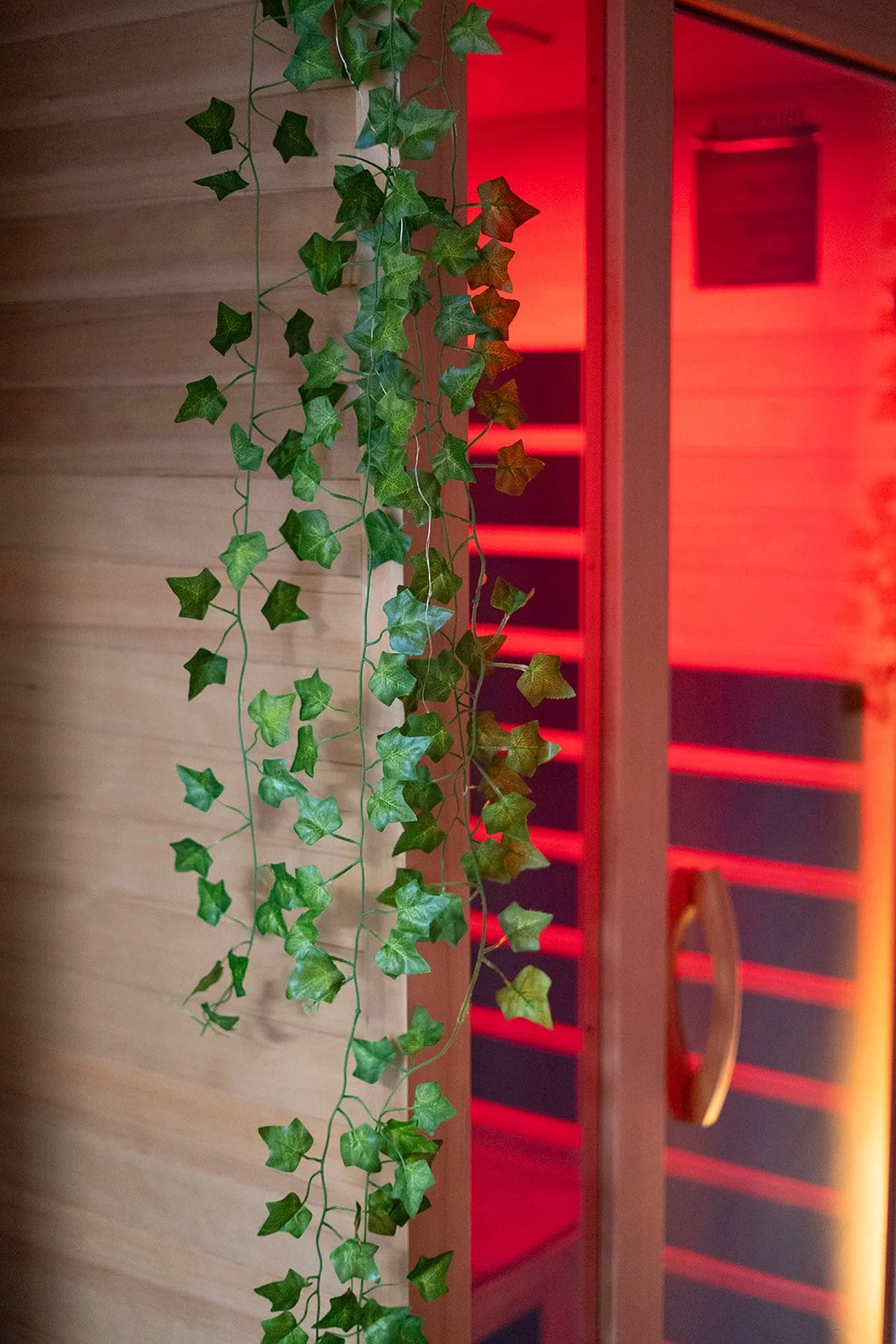 F6C988E1-0F61-4B71-94A4-BD6F306FAE9C_L0_001-12_24_2025, 7_41_28 PM.jpg