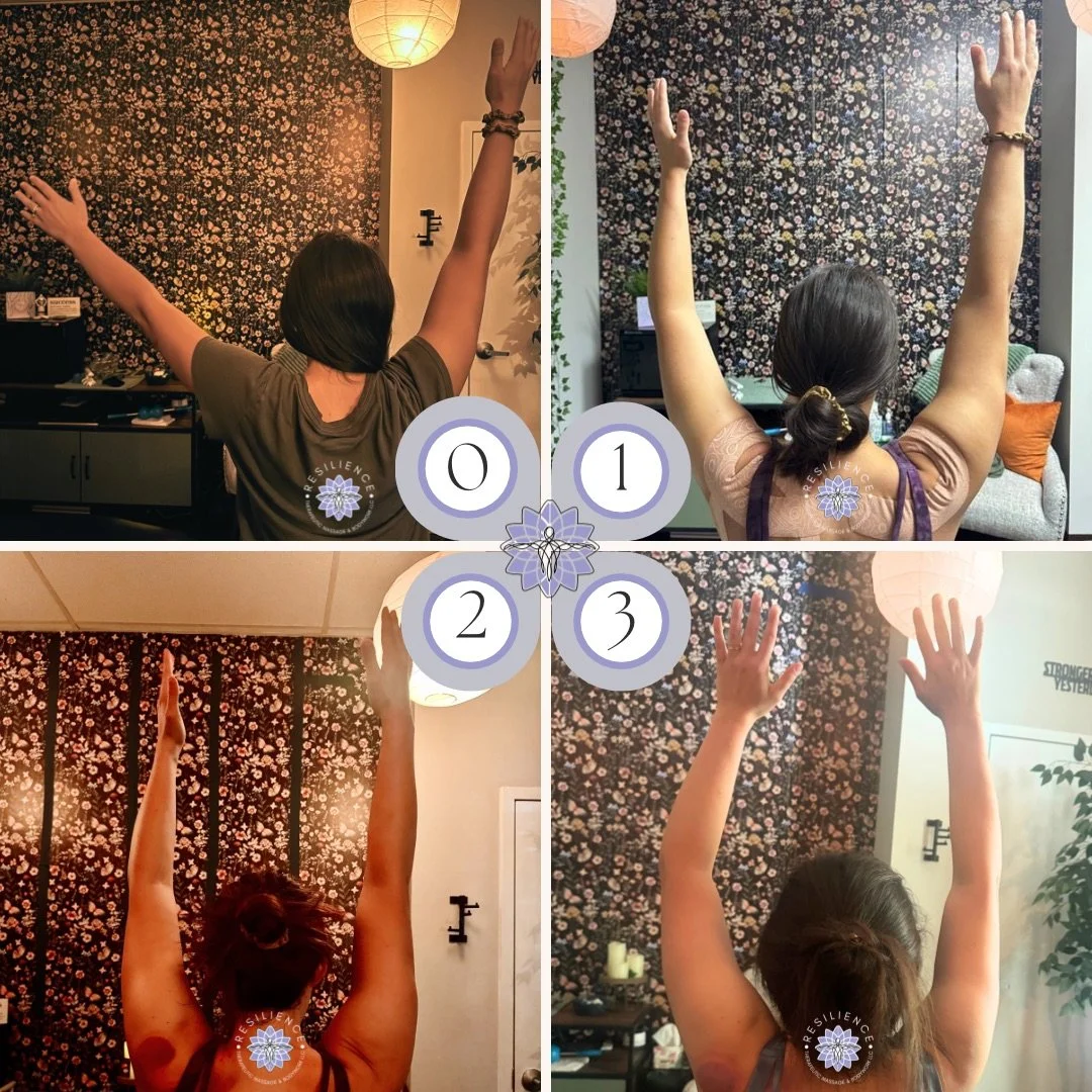 790C393F-30FC-4650-B2A6-D79310099E5B_L0_001-12_31_2025, 6_55_47 PM 2.JPEG