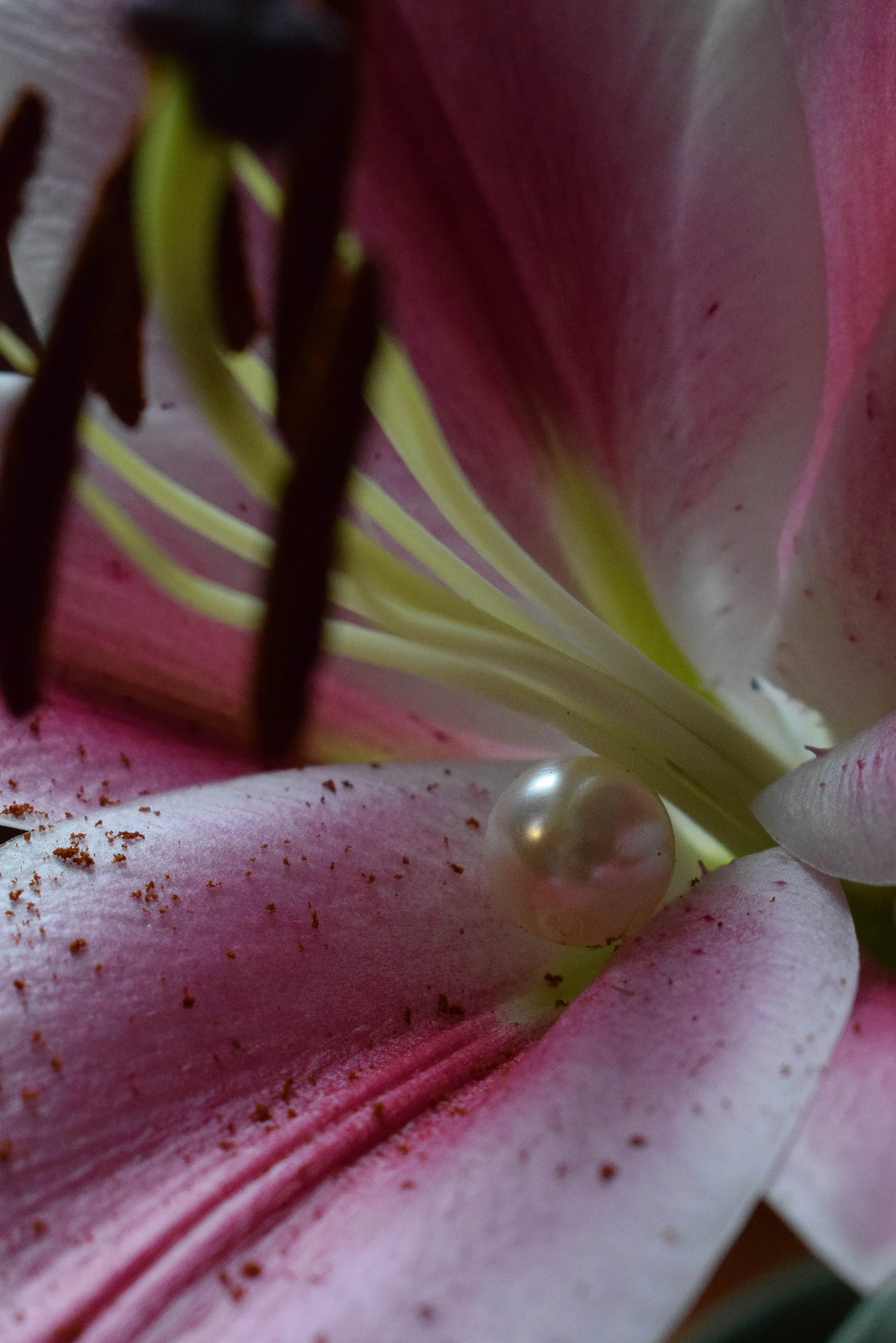 Maria La Sangre (17).jpg