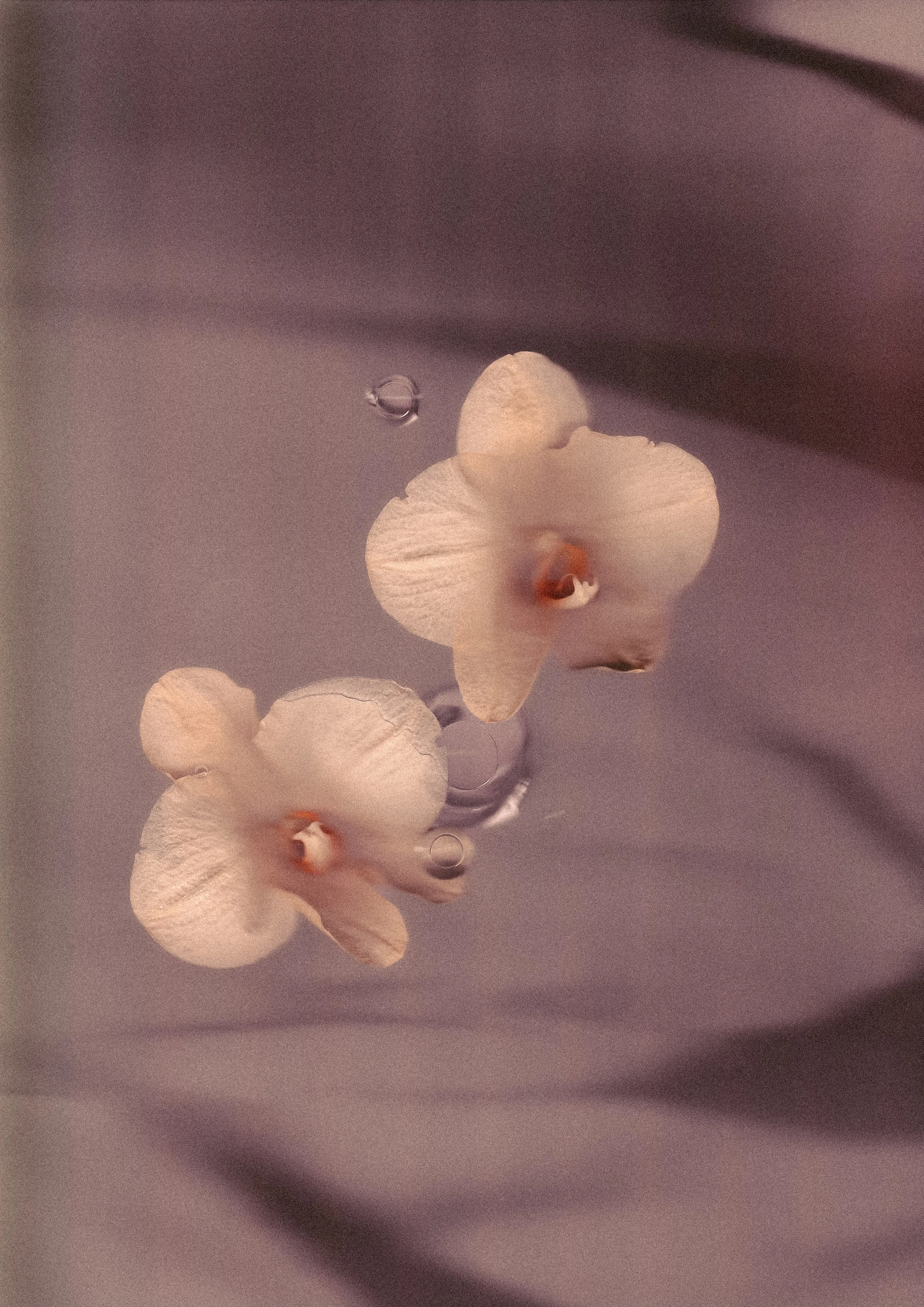 Imagen JPEG-B26C7F43FA64-1.jpg