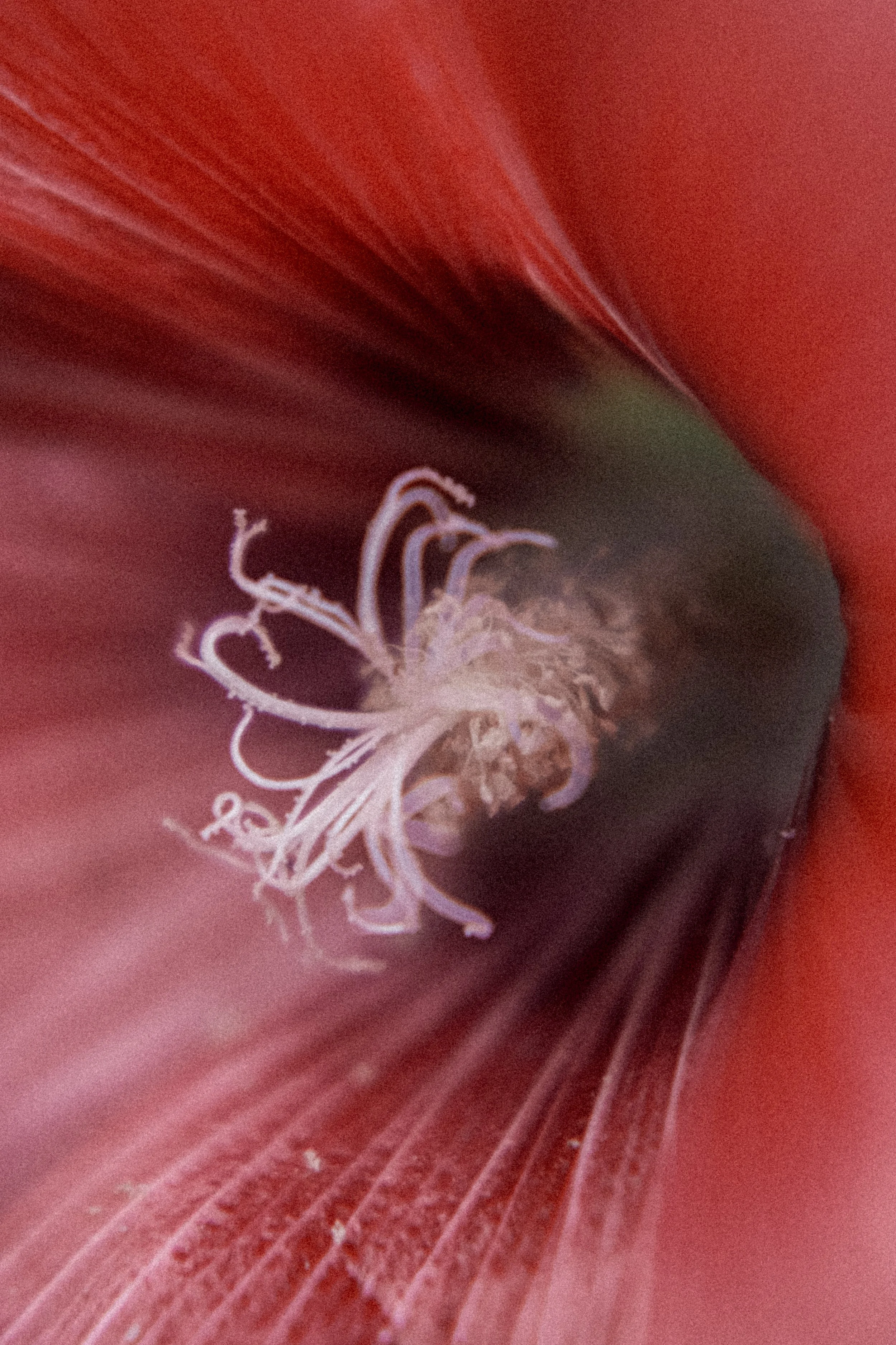DSCF2178.jpg