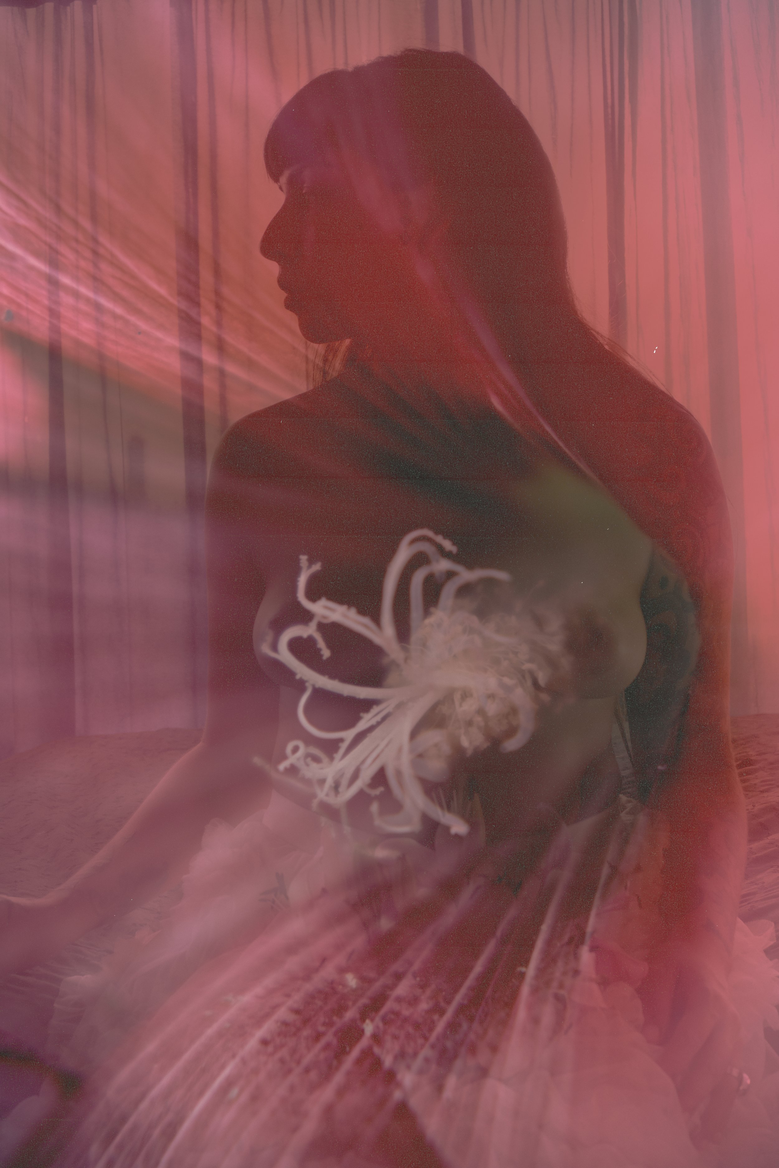 self portrait doble exposure 3.jpg