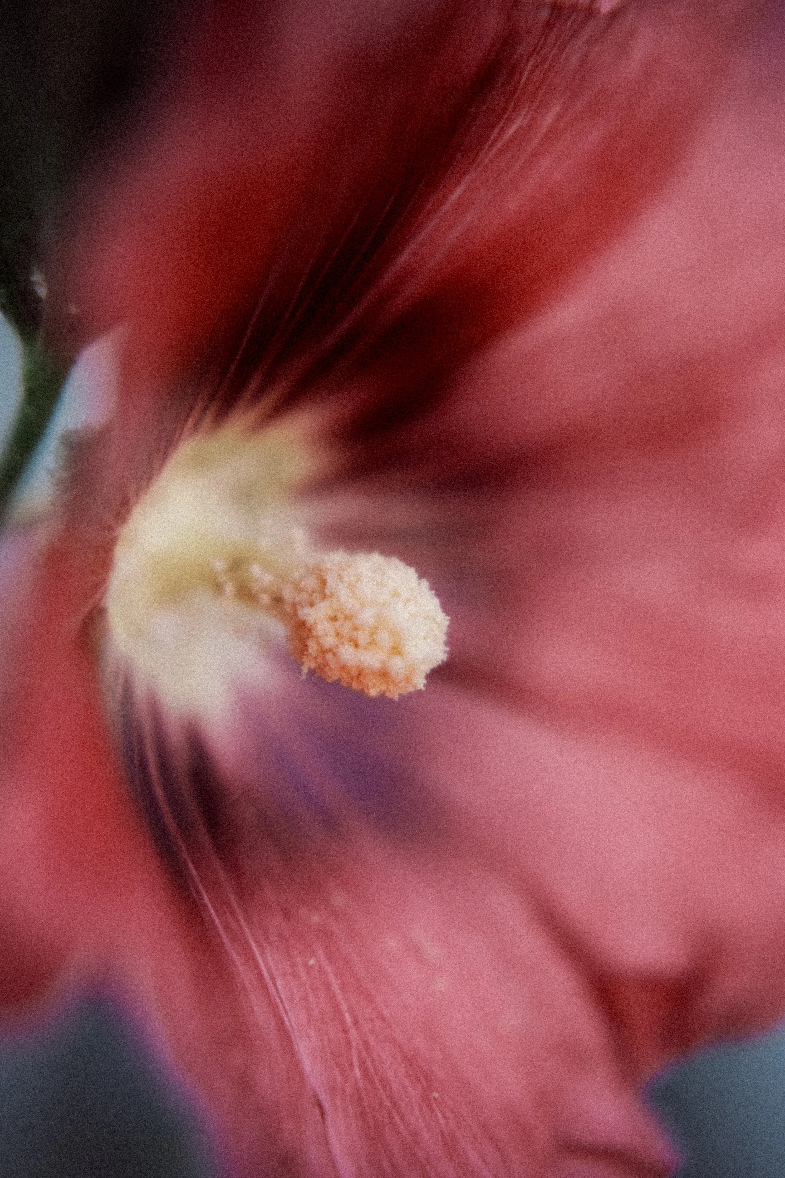 DSCF2158.jpg