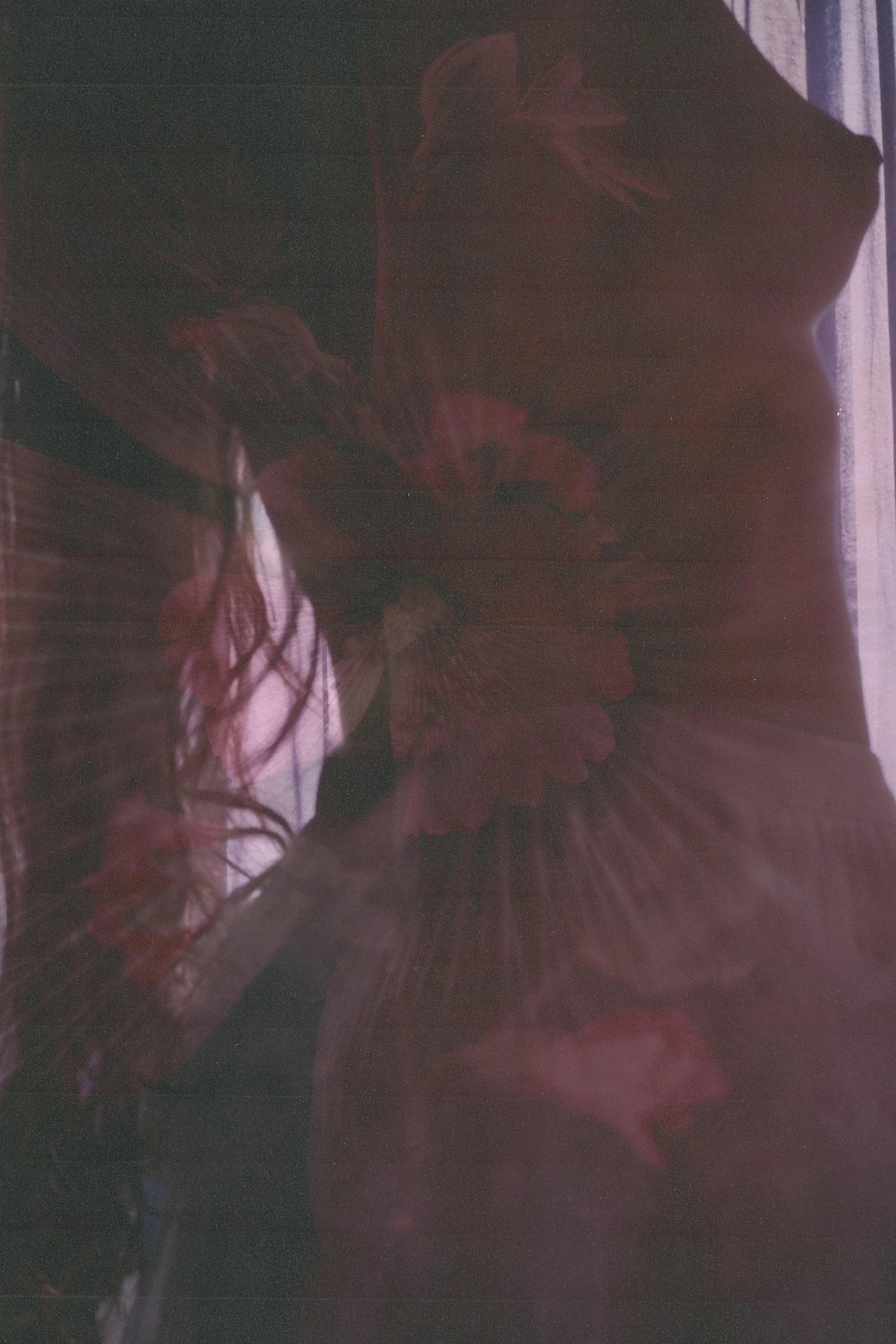 self portrait flower exposure.jpg