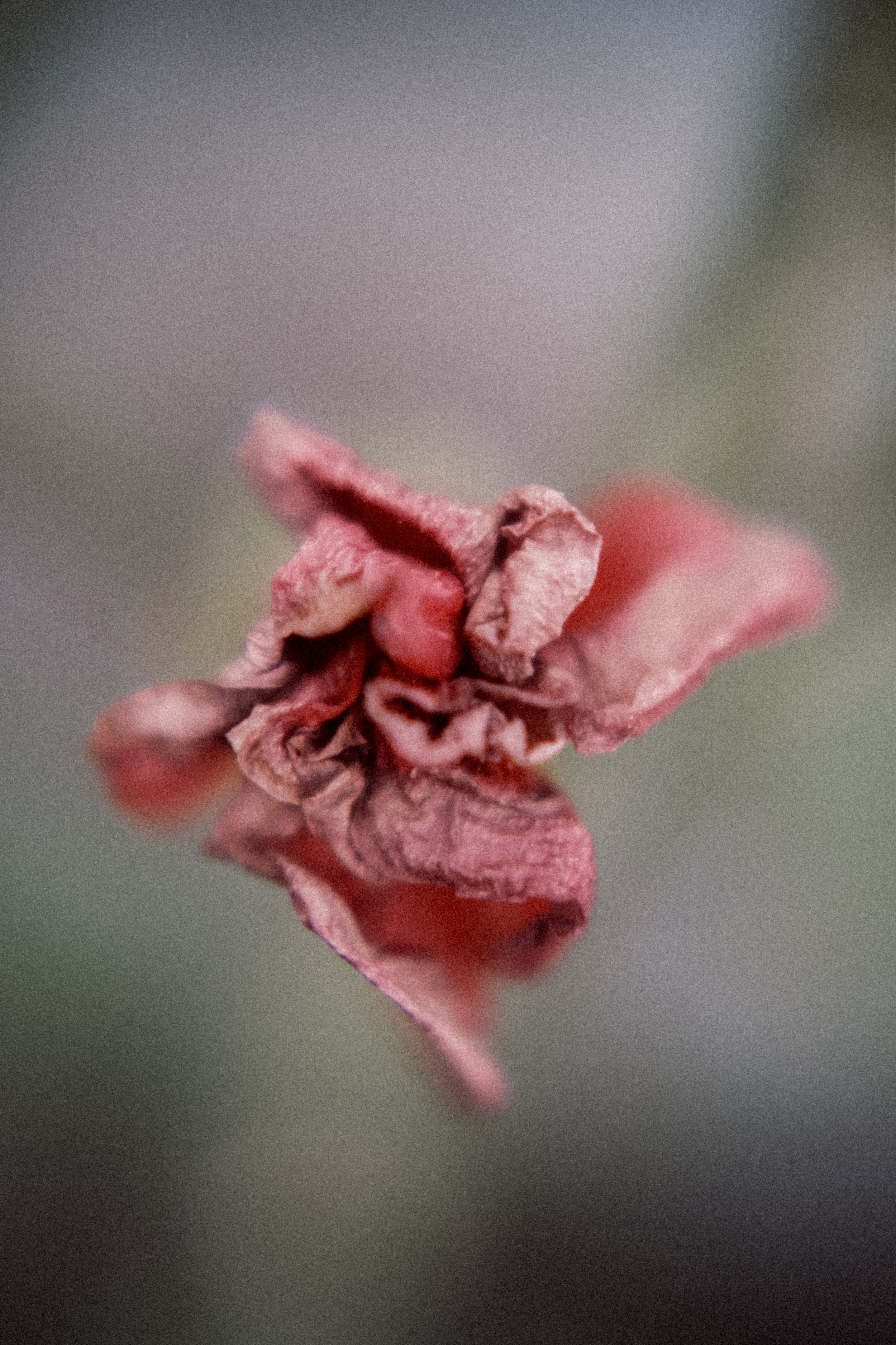 DSCF2165.jpg