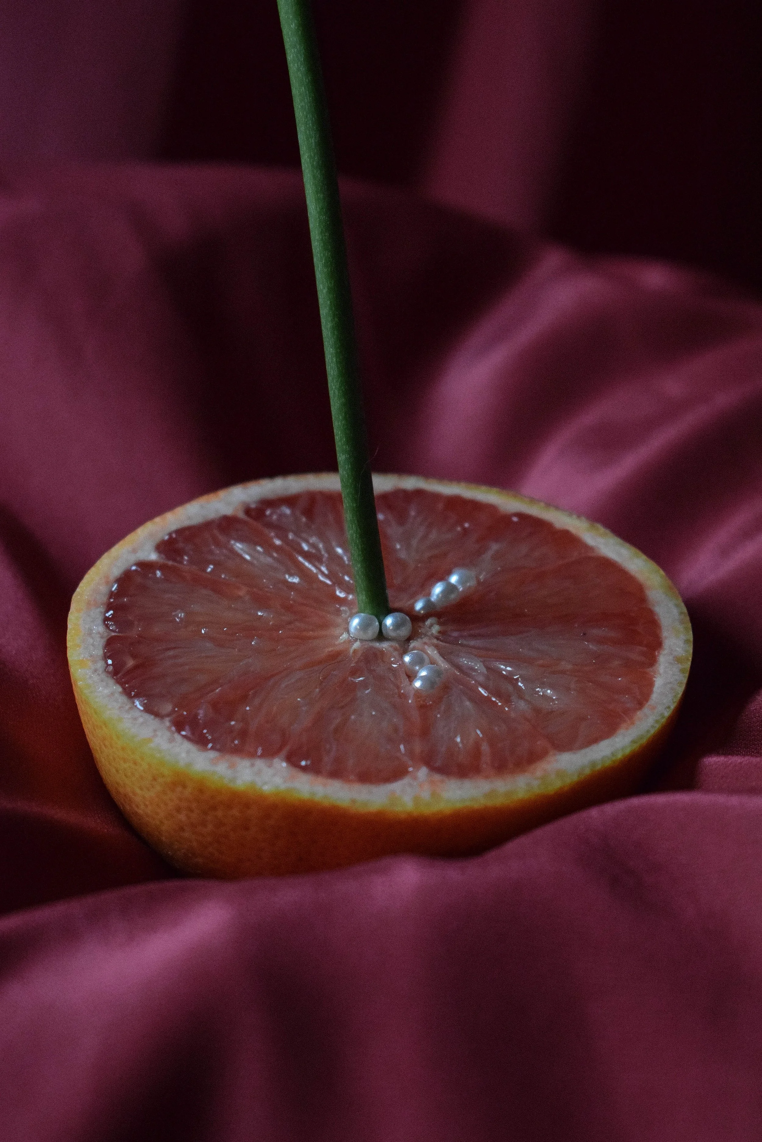 Maria La Sangre - Fruits of my womb35.jpg