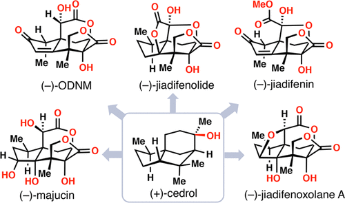 majucinoids graphic