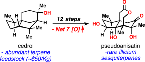 pseudoanisatin graphic
