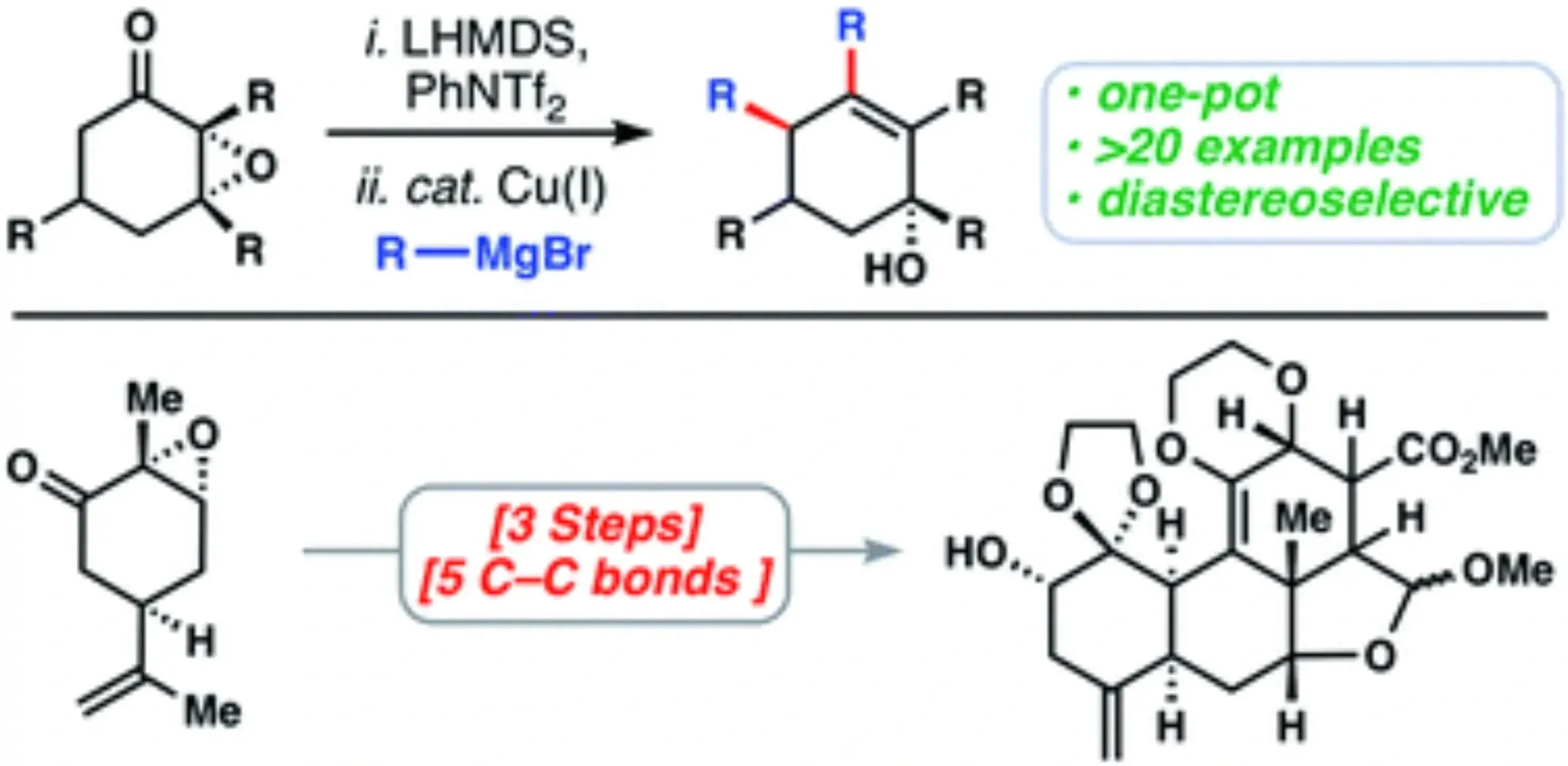 Chemical reaction schemes showing a process involving a palladium-catalyzed coupling to form a distereoselective diol, with annotations indicating one-pot, 20 examples, and diastereoselective, along with a second scheme illustrating a multi-step synthesis involving five C-C bonds