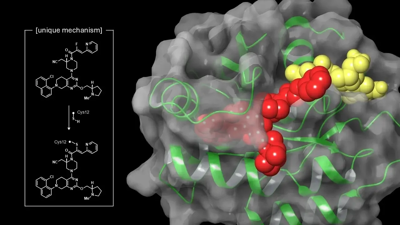 An illustration showing a molecular diagram of a unique mechanism of covalent inhibition on the left and a 3D molecular structure with colored spheres, ribbon structures, and surface models on the right.