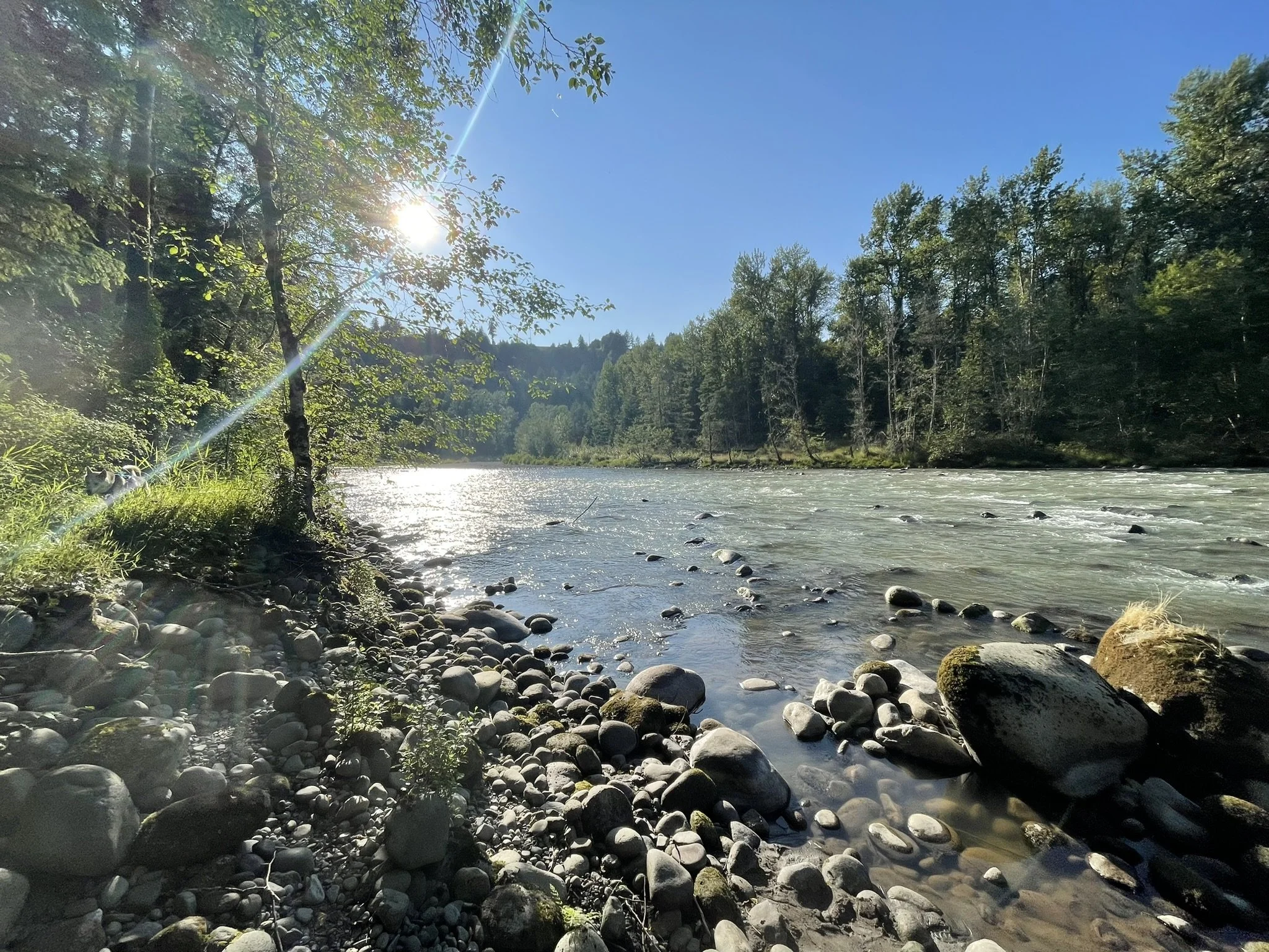 Health-Supportive Walks (2hr)