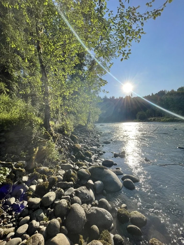 Health Supportive Walk (4hr)