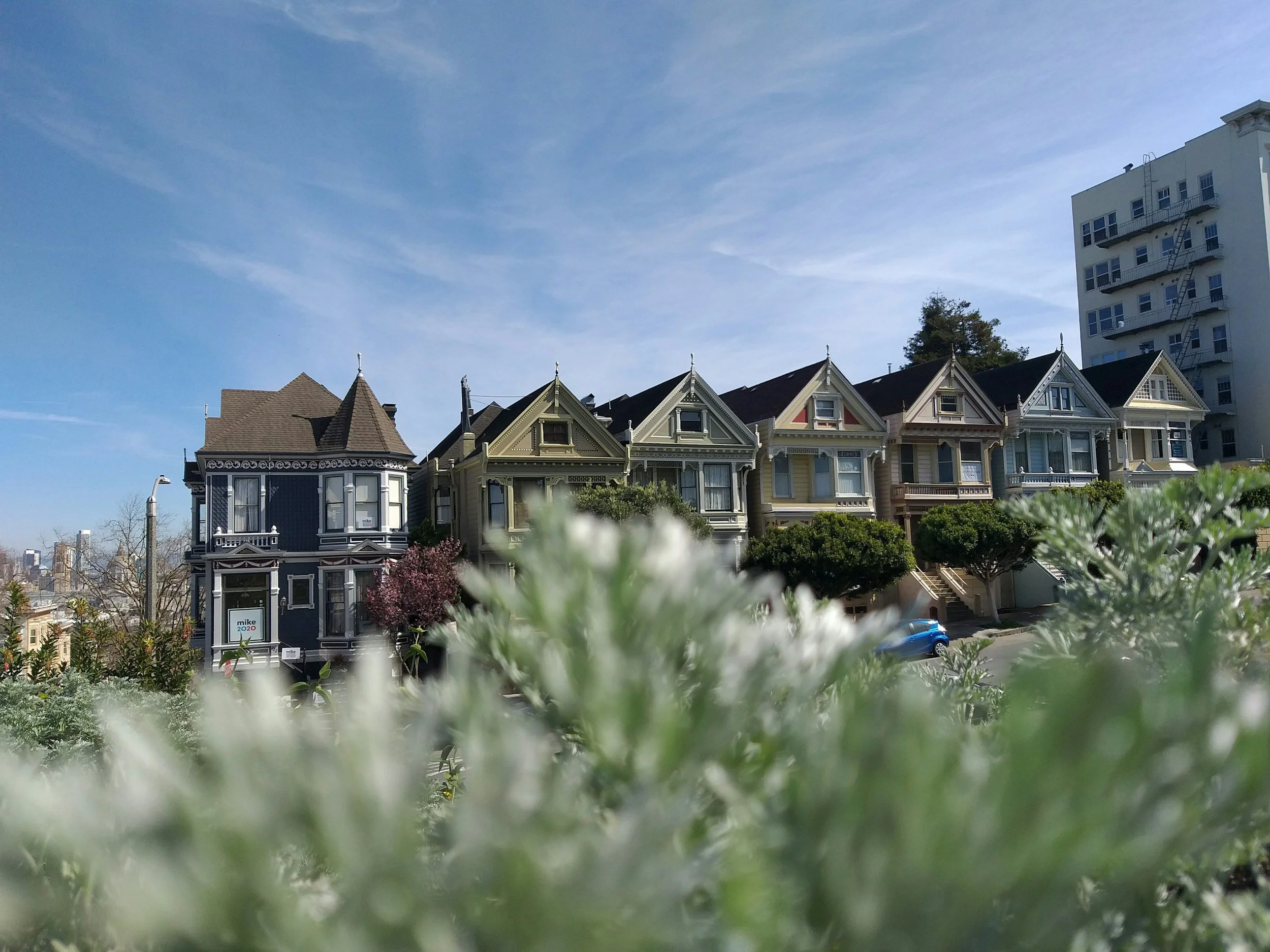 Top 10 Real Estate Agents in Alamo Square (Who Actually Know the Neighborhood)