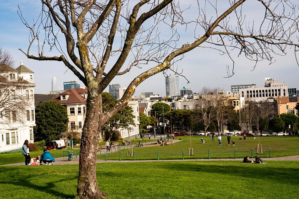 Top 10 Real Estate Agents in Duboce Triangle (Neighborhood-Savvy Picks)