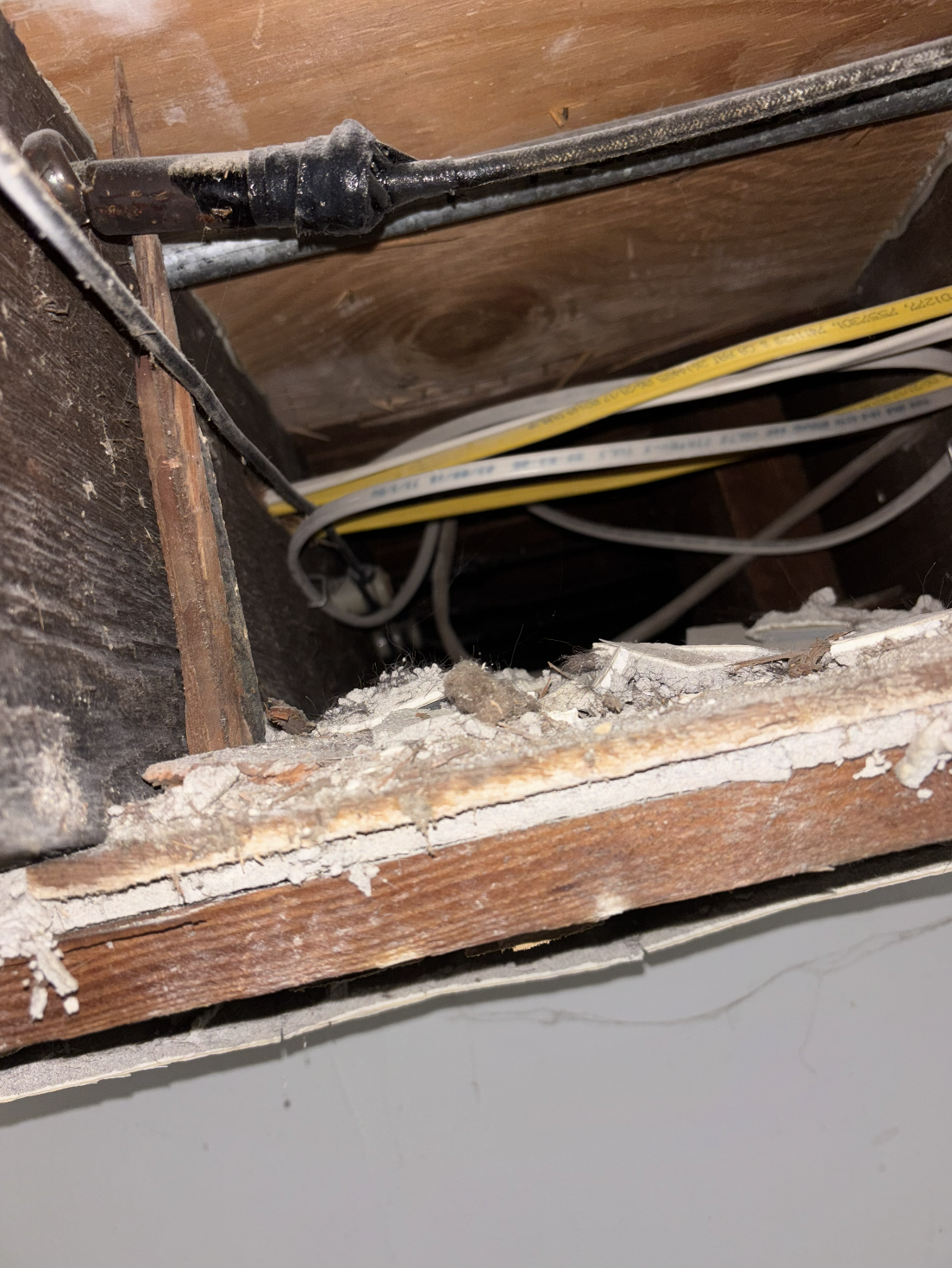 Knob-and-Tube Wiring in San Francisco Homes: What It Is, Why It Matters, and What It Costs to Fix