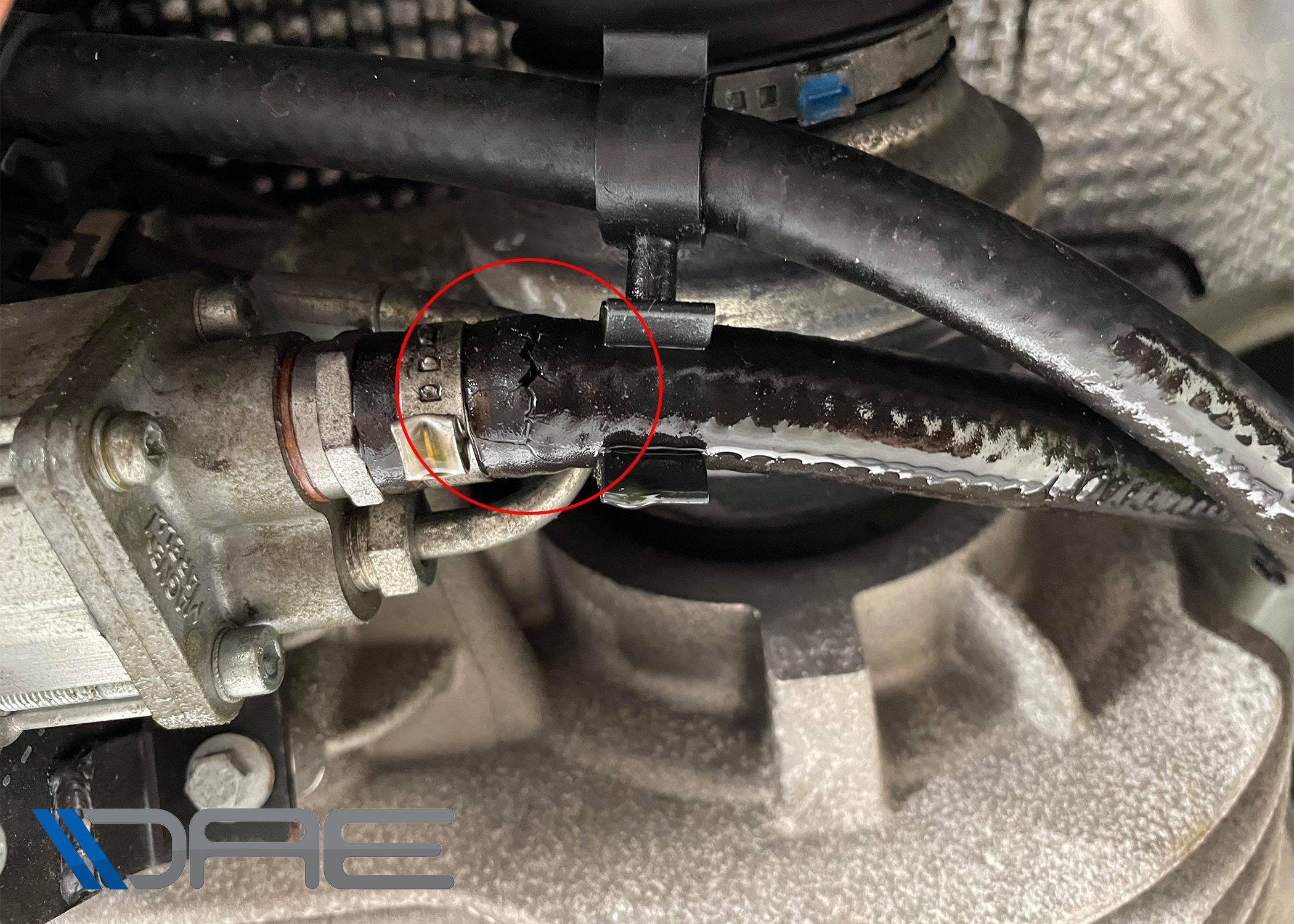 Leaking ASM hose marked DAE.png