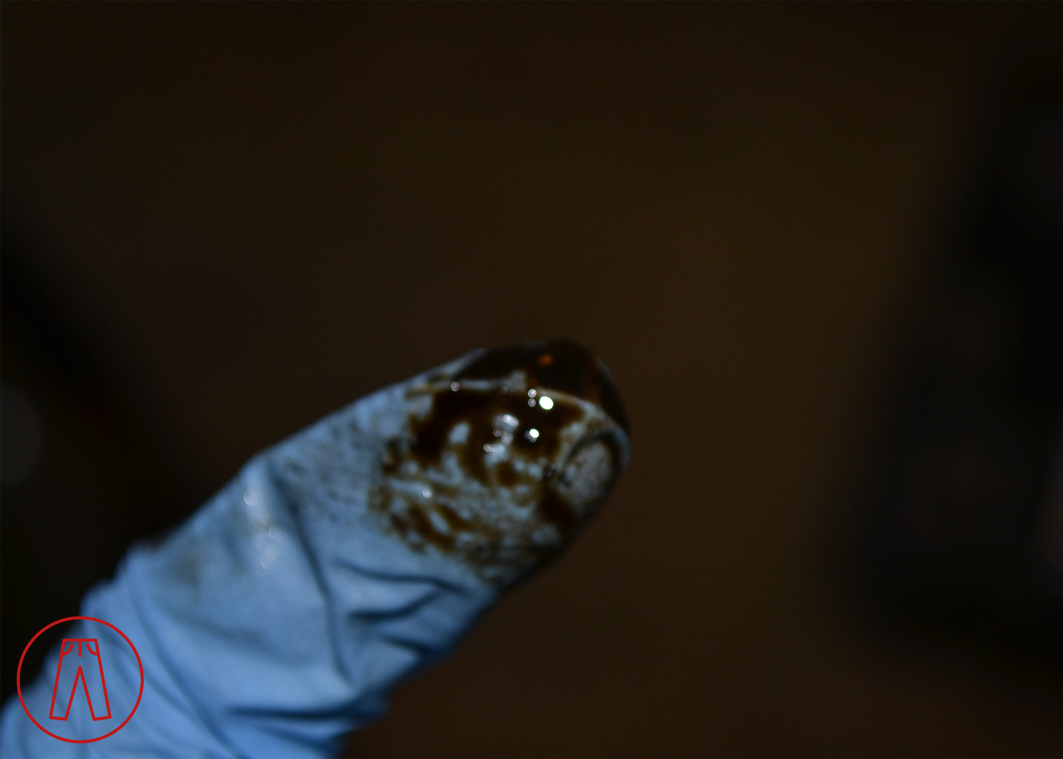 Oil in Manifold Rp.png