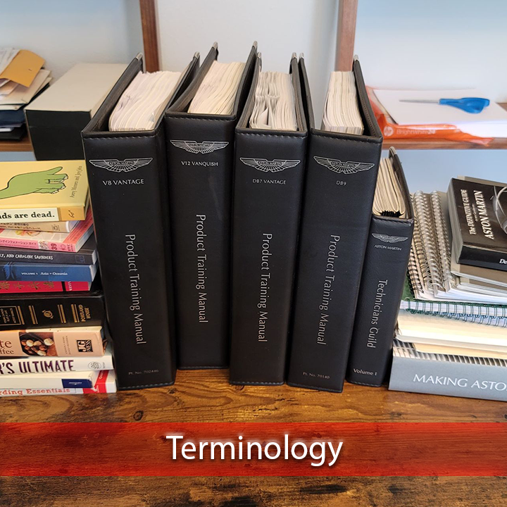 Terminology Info pic.png