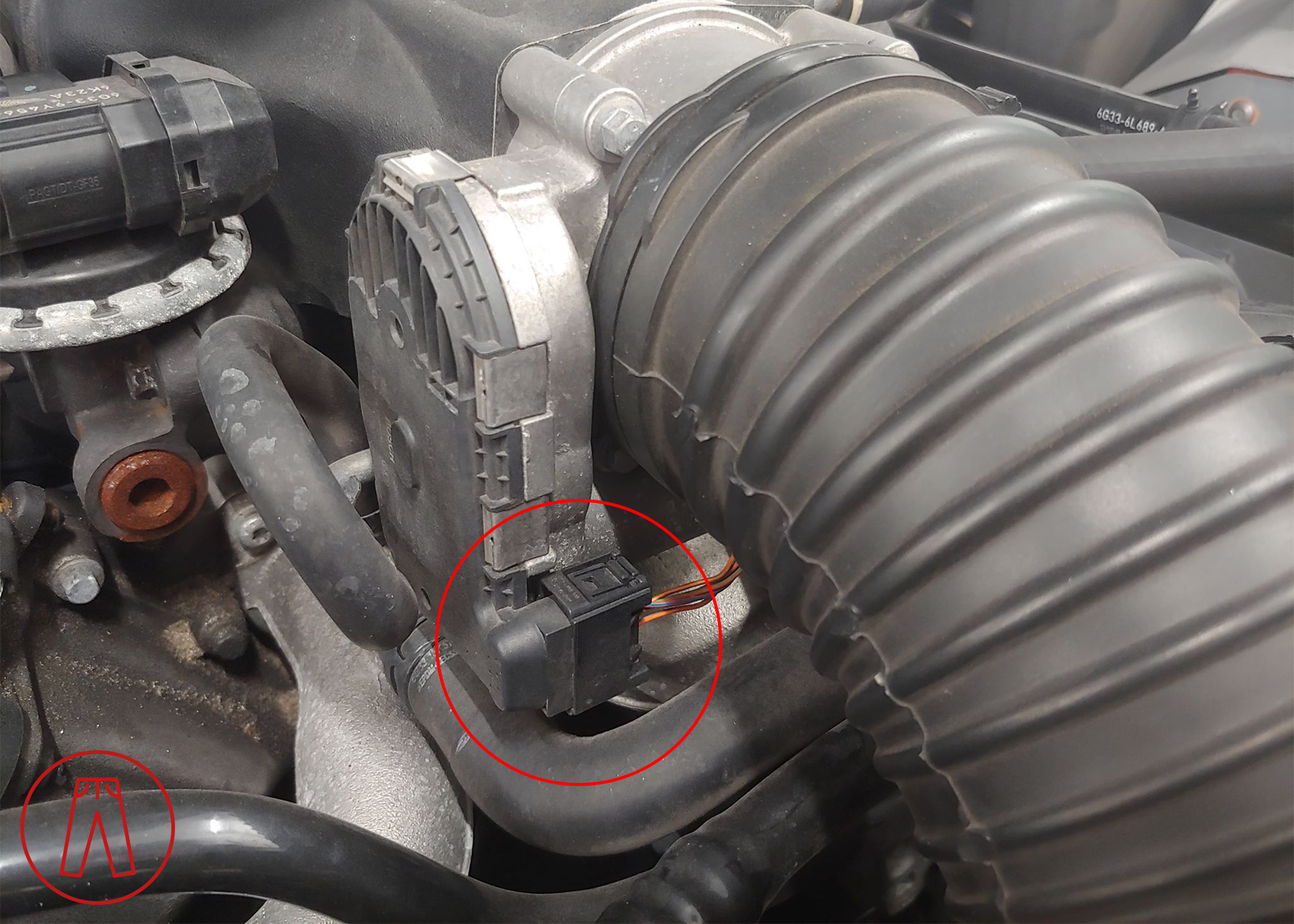 V8 Throttle body connector circled Rp.png