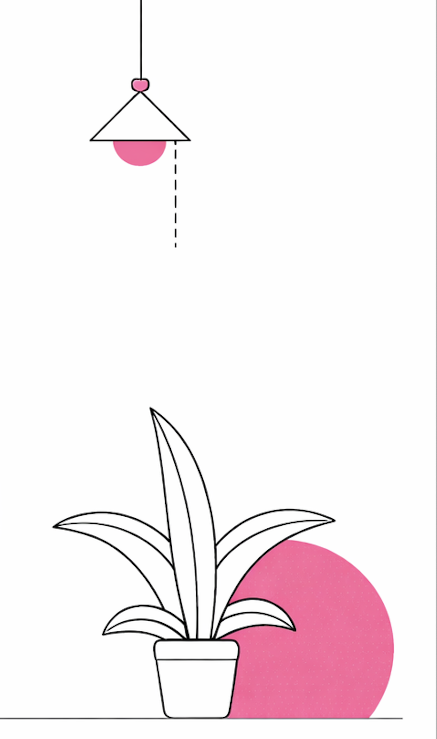 Black and white line drawing of a potted plant with long, pointed leaves, with a large pink circle behind it.