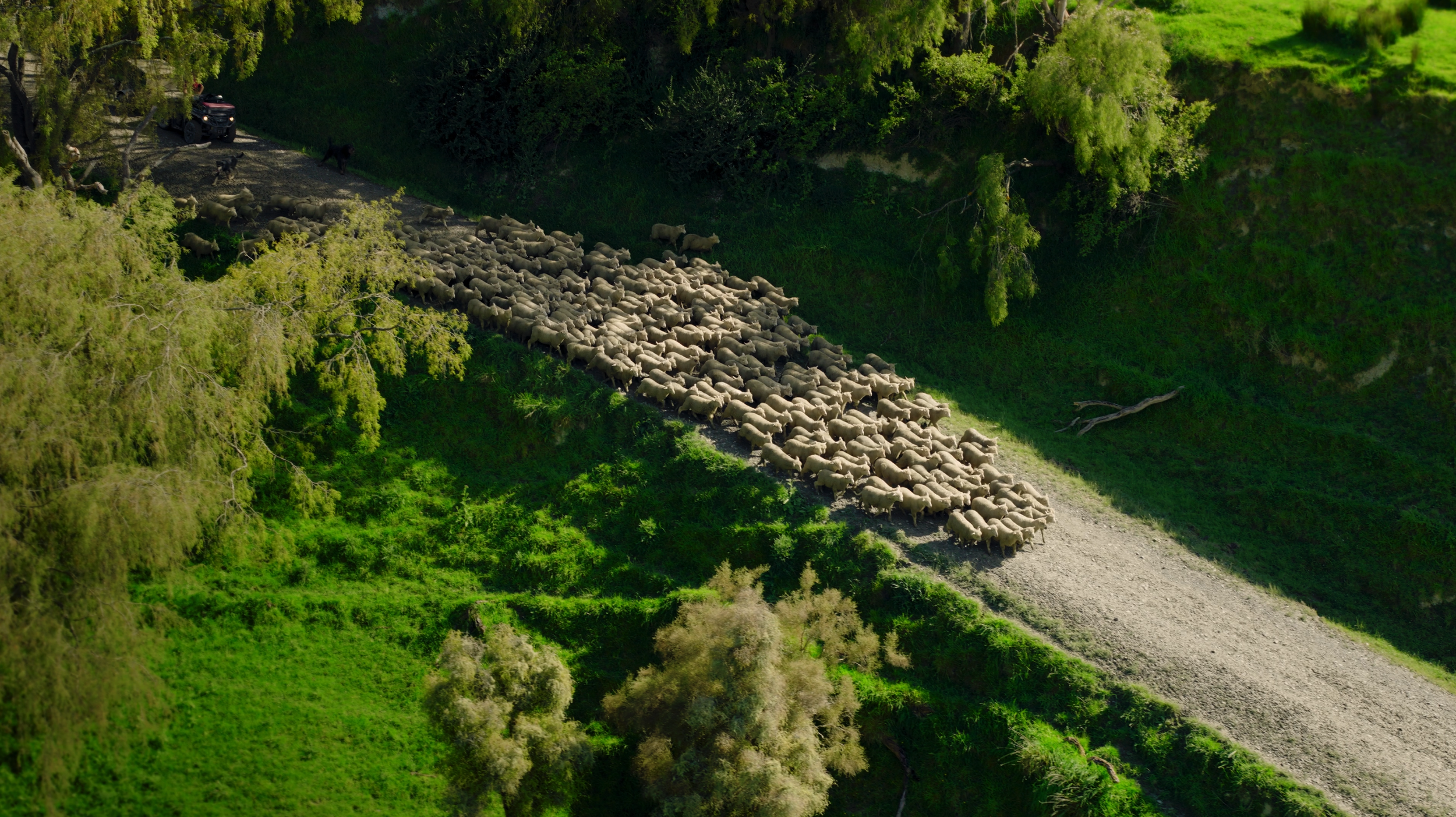 Screenshot 2026-01-27 at 6.57.25 PM.png