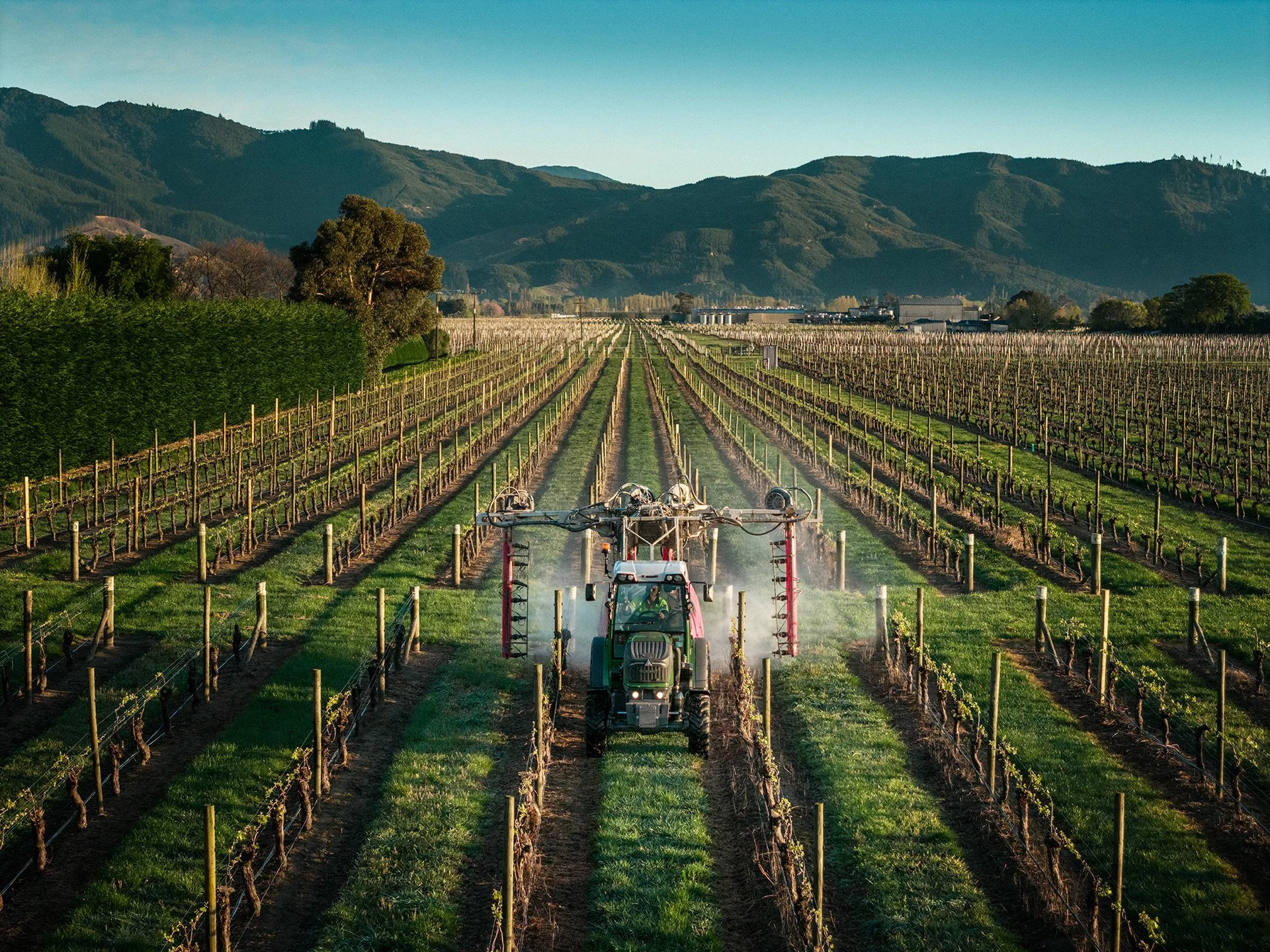 qbe_drone_allan_scott-41-Edit.jpg
