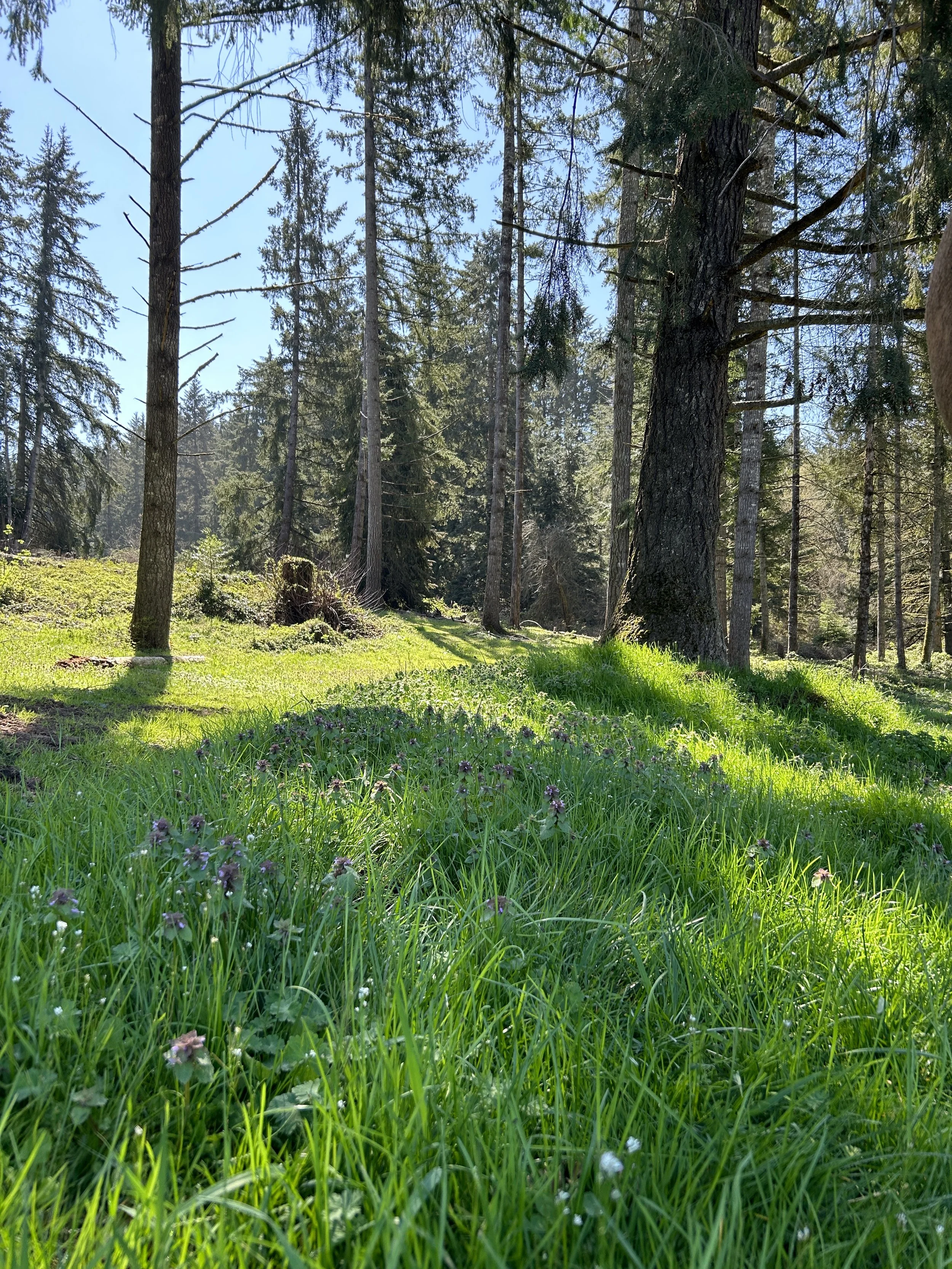 Ultimate Trail Camp October 9-11th