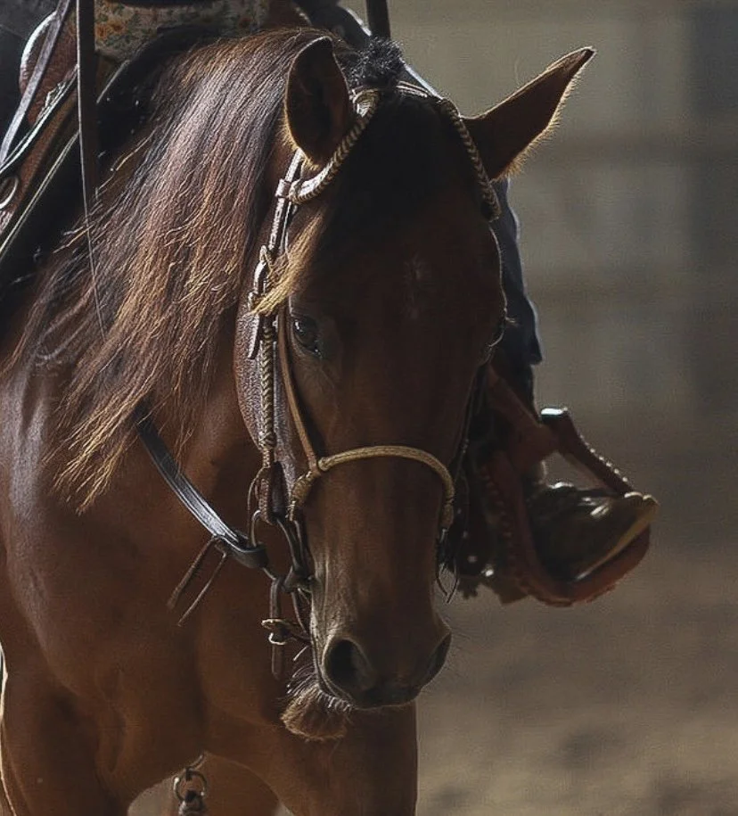 Holistic Equine Retreat