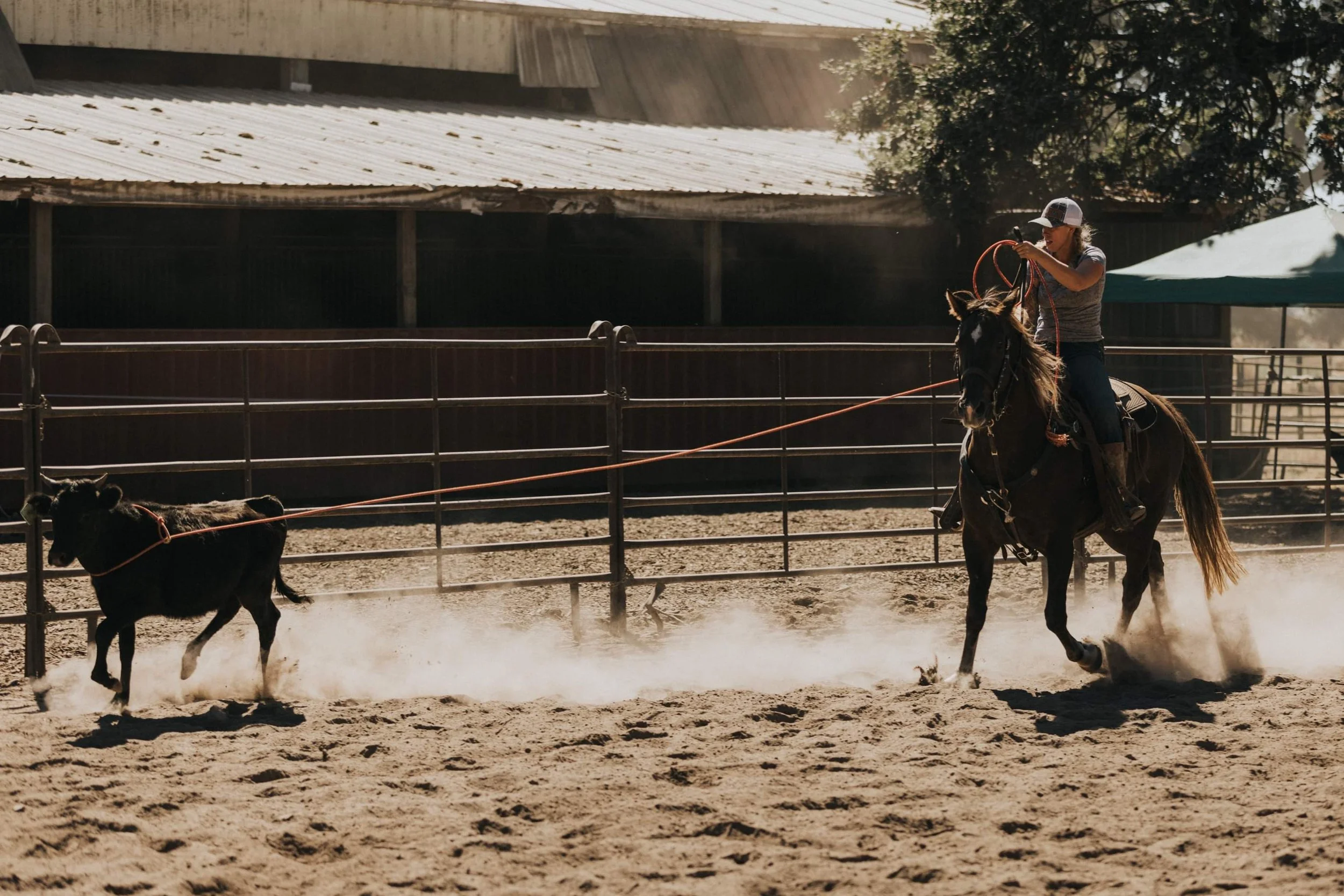 Beginner Roping March 21st